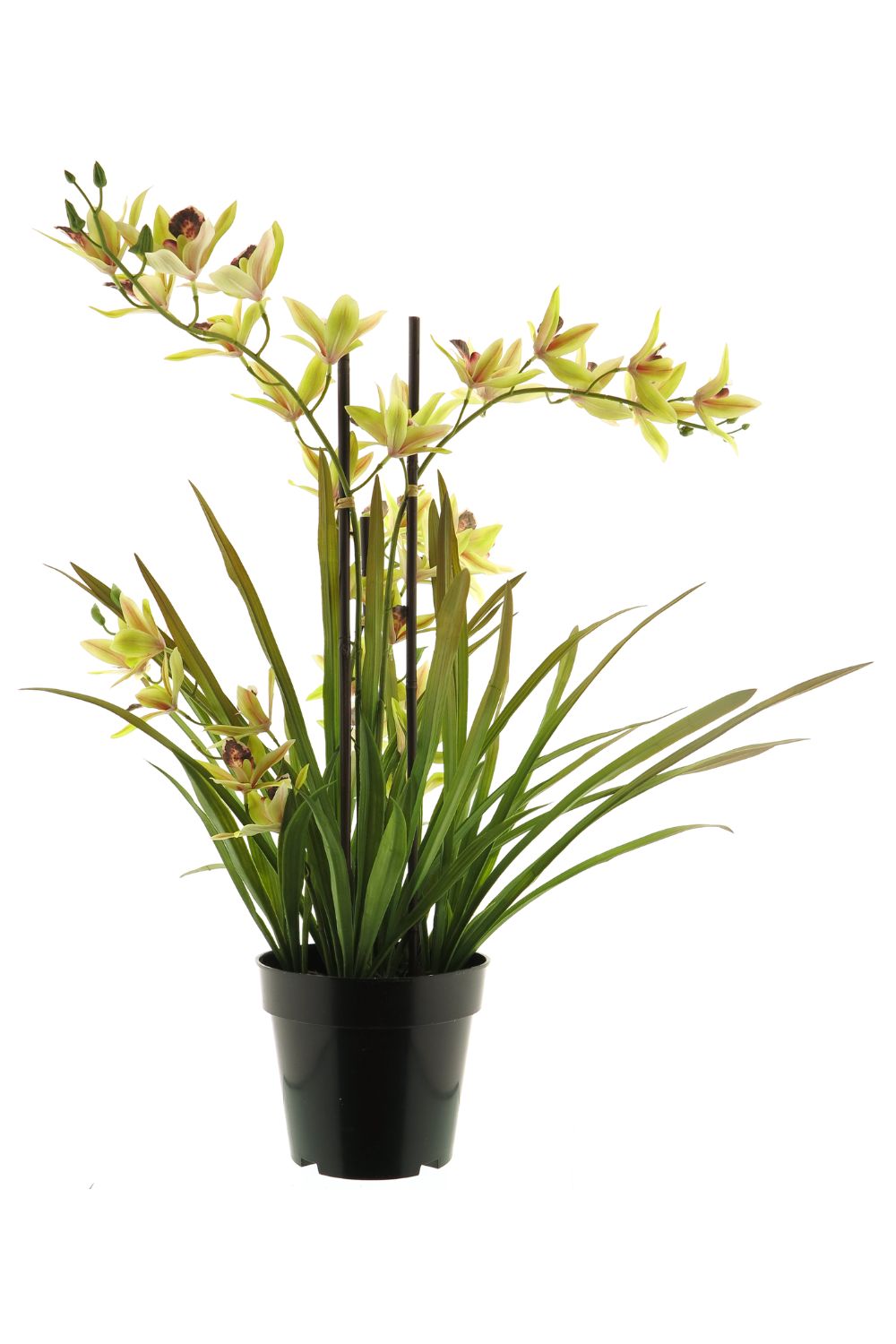 Meadow Orchidee kunstplant Groen 70cm