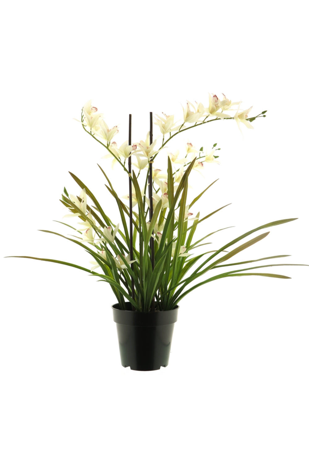 Meadow Orchidee kunstplant Creme 70cm