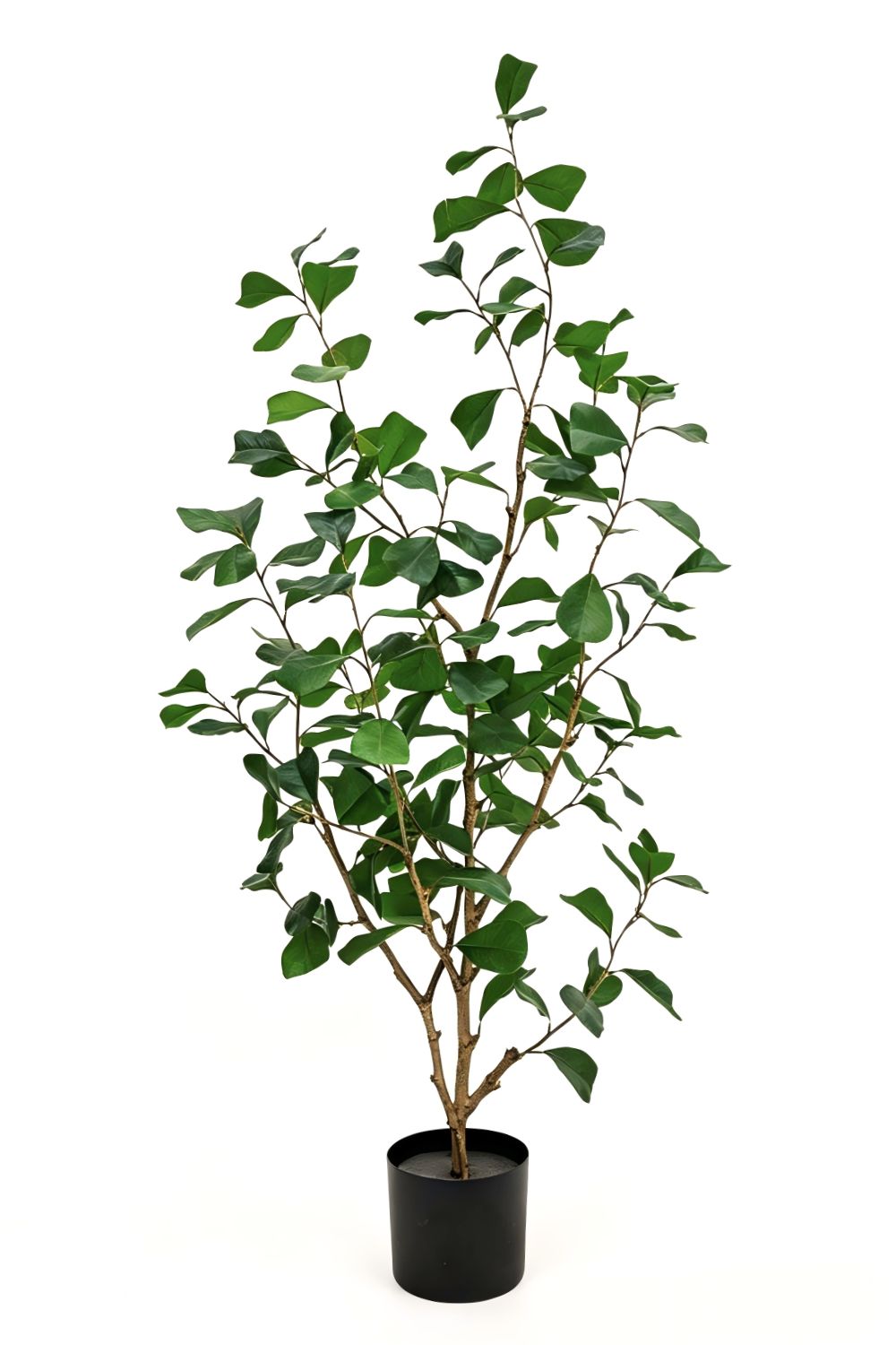 Pre-order Ficus Triangularis Kunstplant 120cm