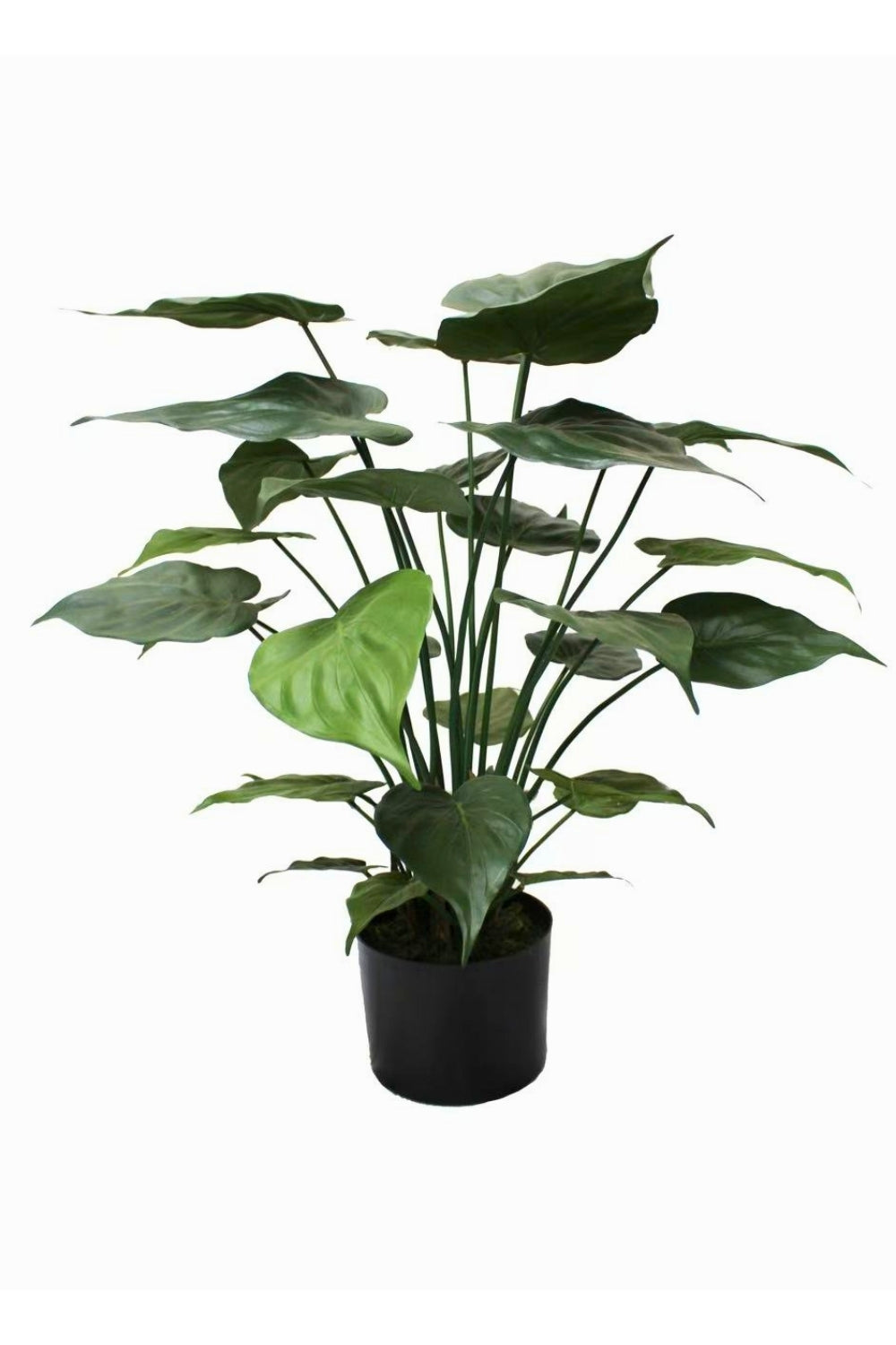 Alocasia Kunstplant 70cm