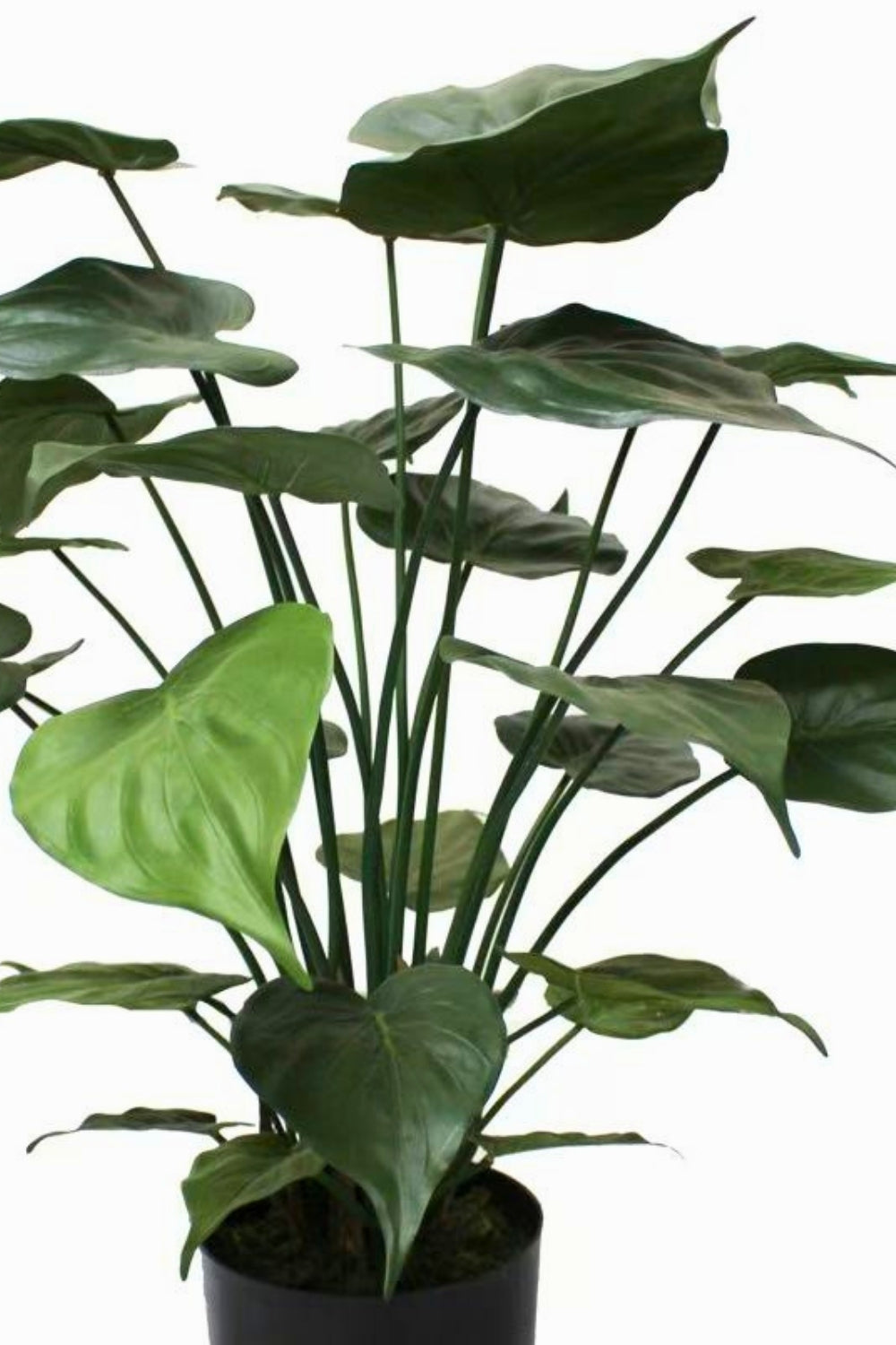 Alocasia Kunstplant 70cm