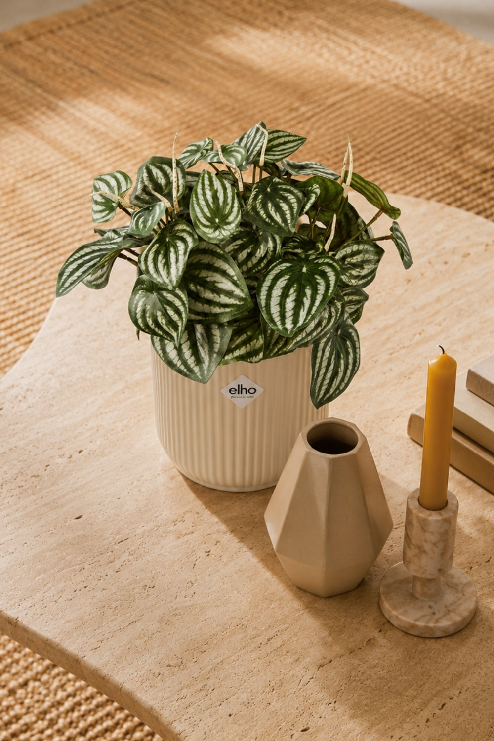 Peperomia Kunststeker 30cm
