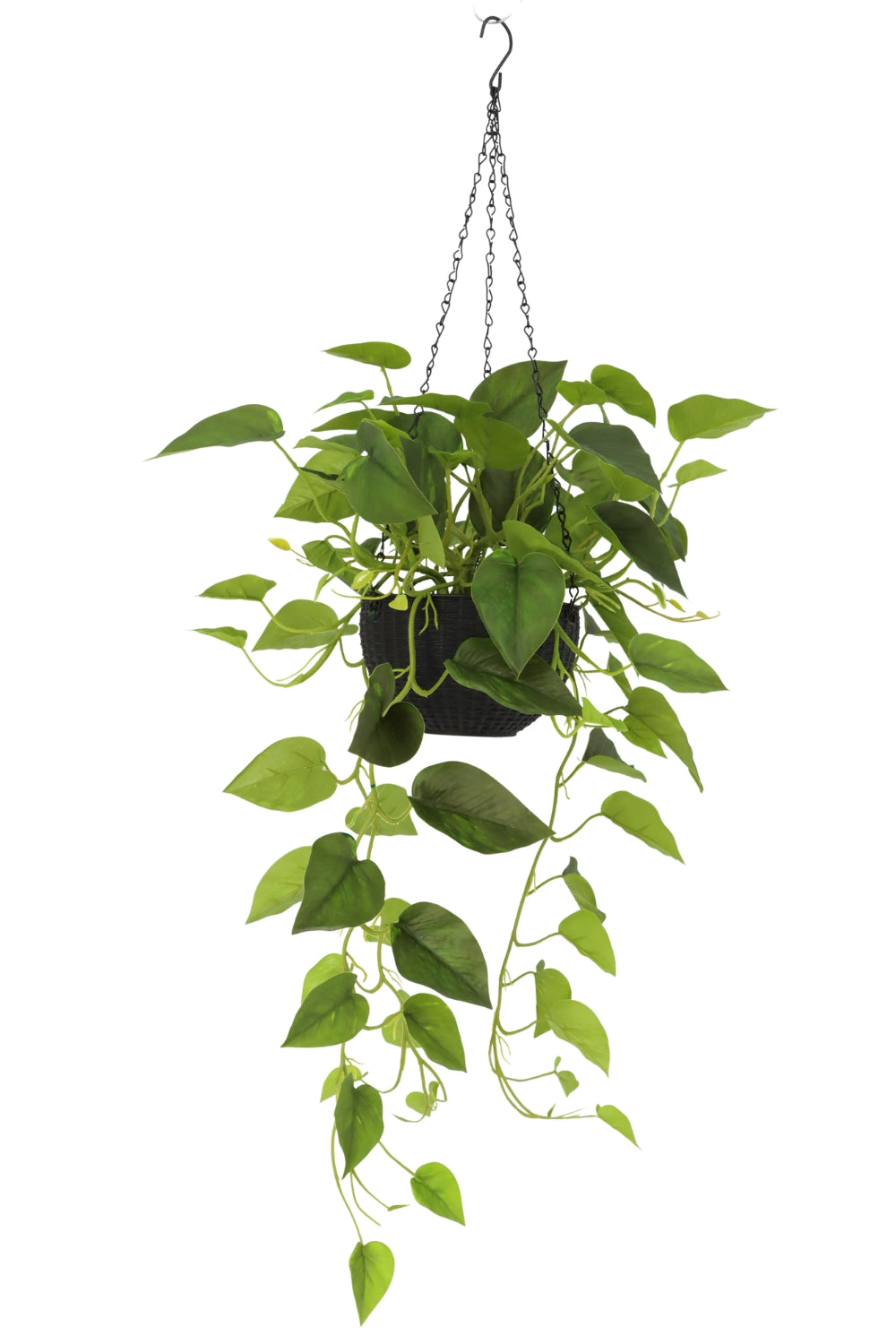 Scindapsus Kunst Hangplant 75cm
