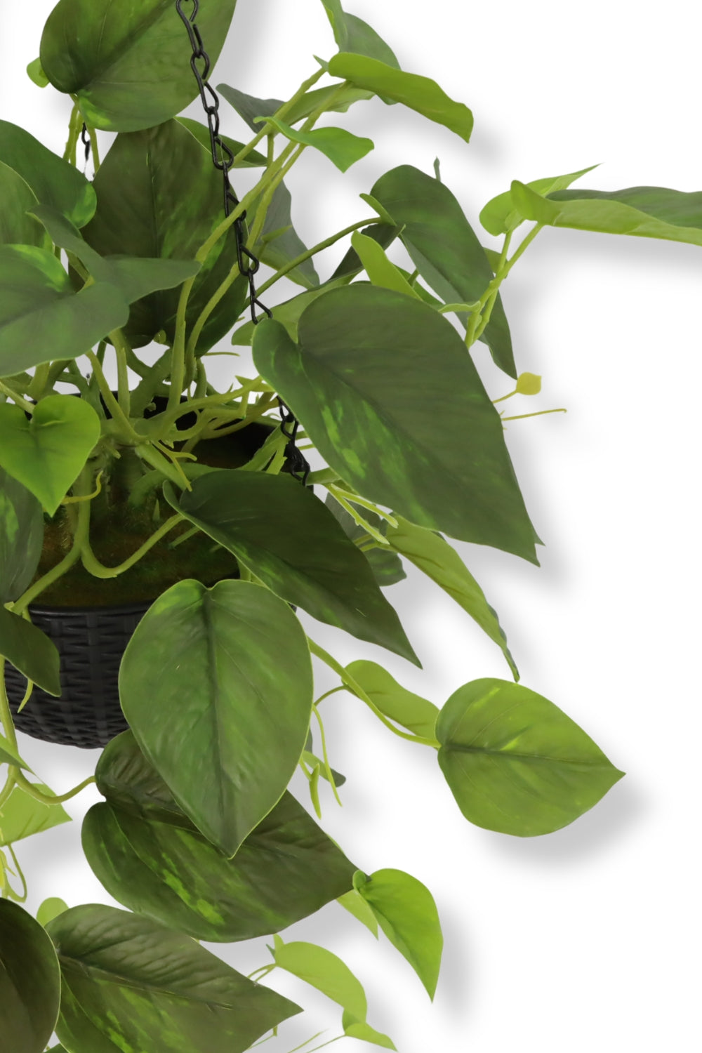 Scindapsus Kunst Hangplant 75cm