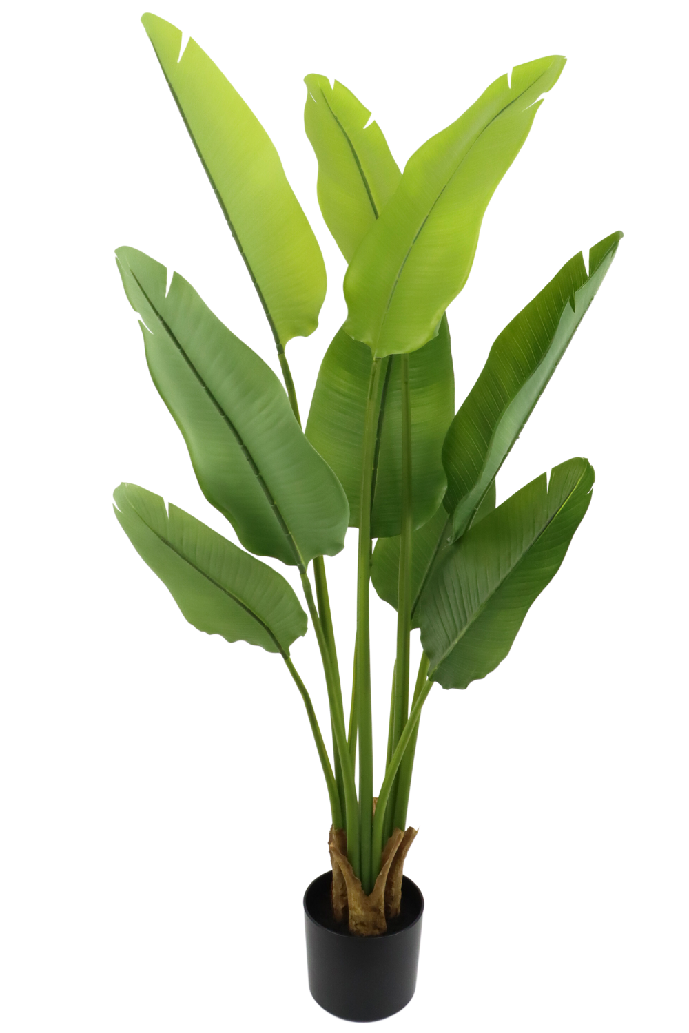 Strelitzia kunstplant 120cm