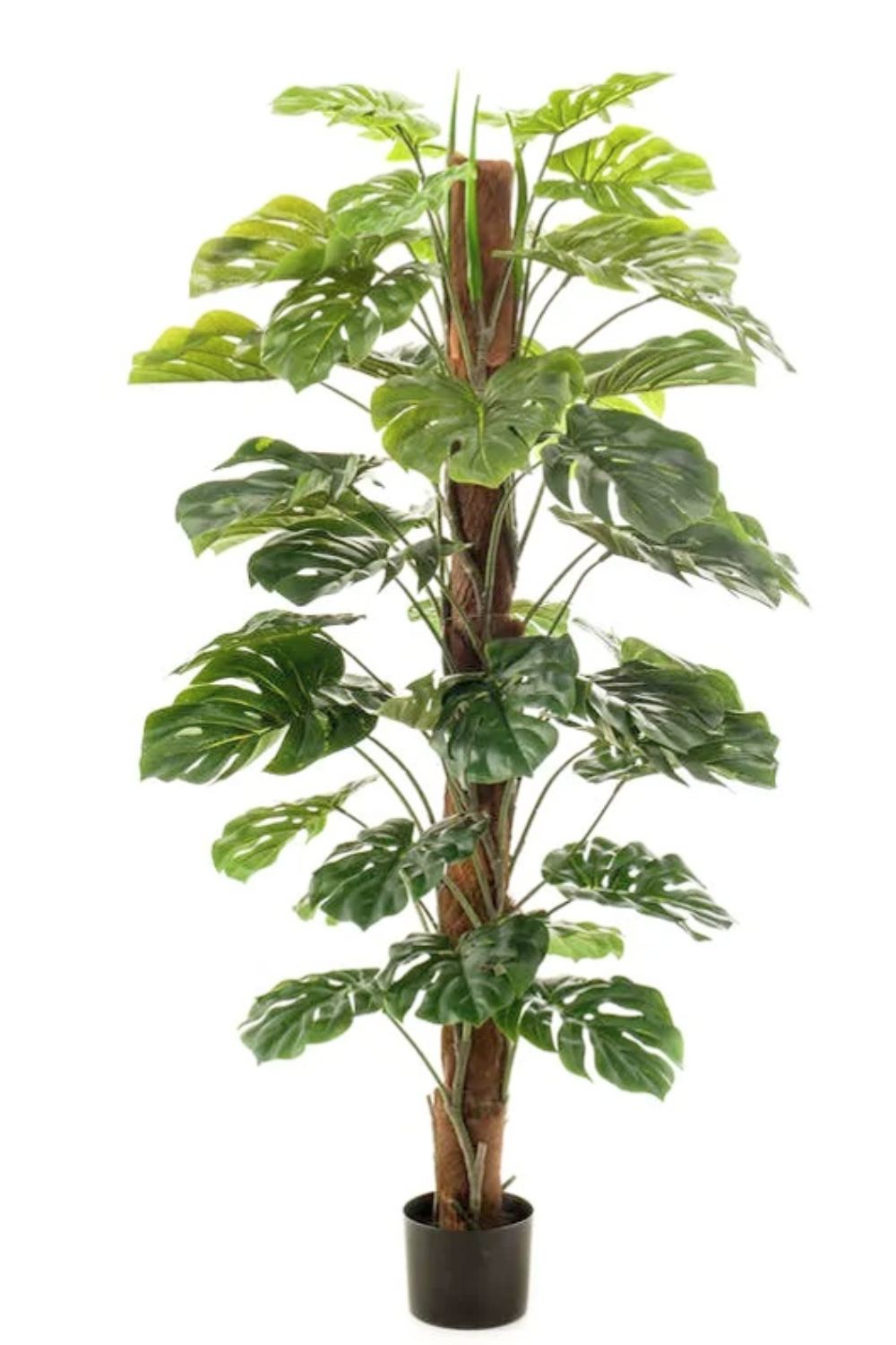 Monstera Kunstplant 150cm