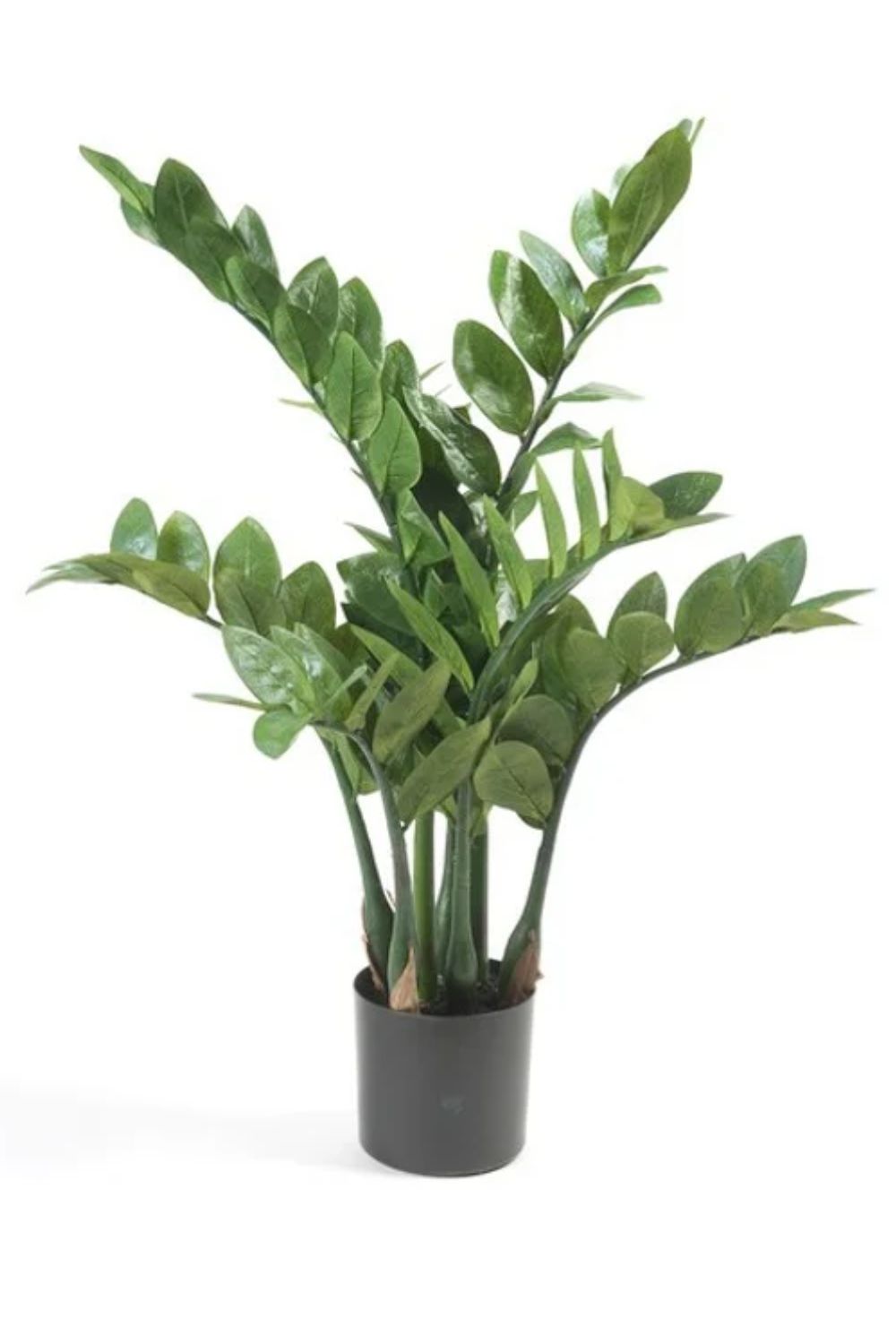 Zamioculcas Kunstplant 70cm