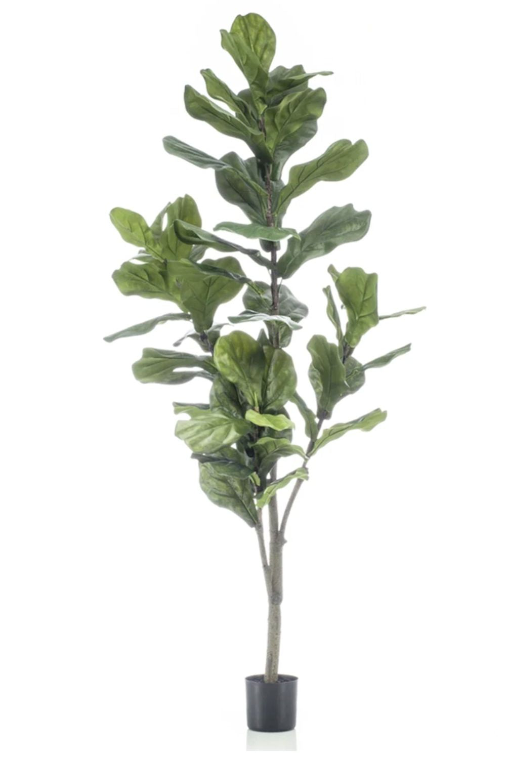 Ficus Lyrata Kunstplant 150cm