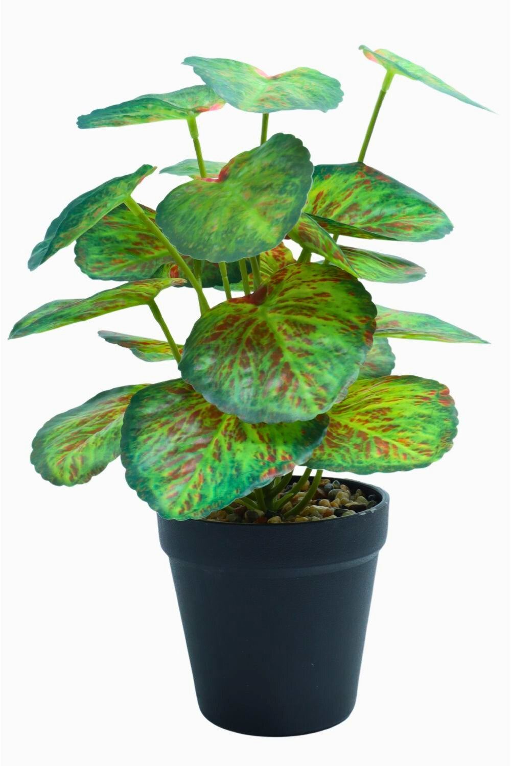 Taro kunstplant 32cm - prettyplants