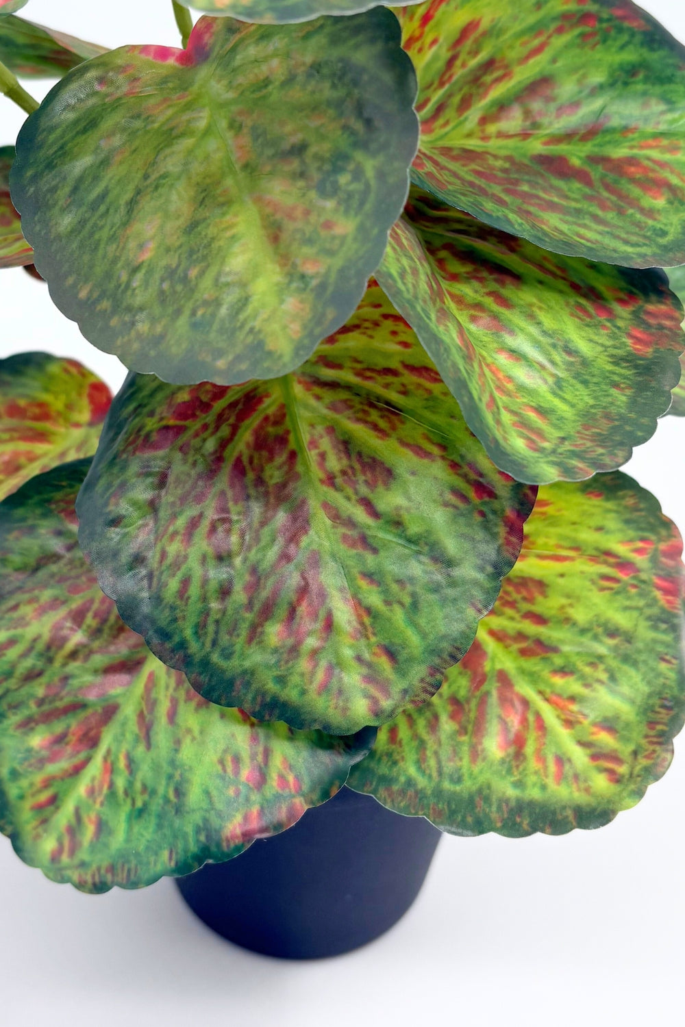 Taro kunstplant 32cm - prettyplants