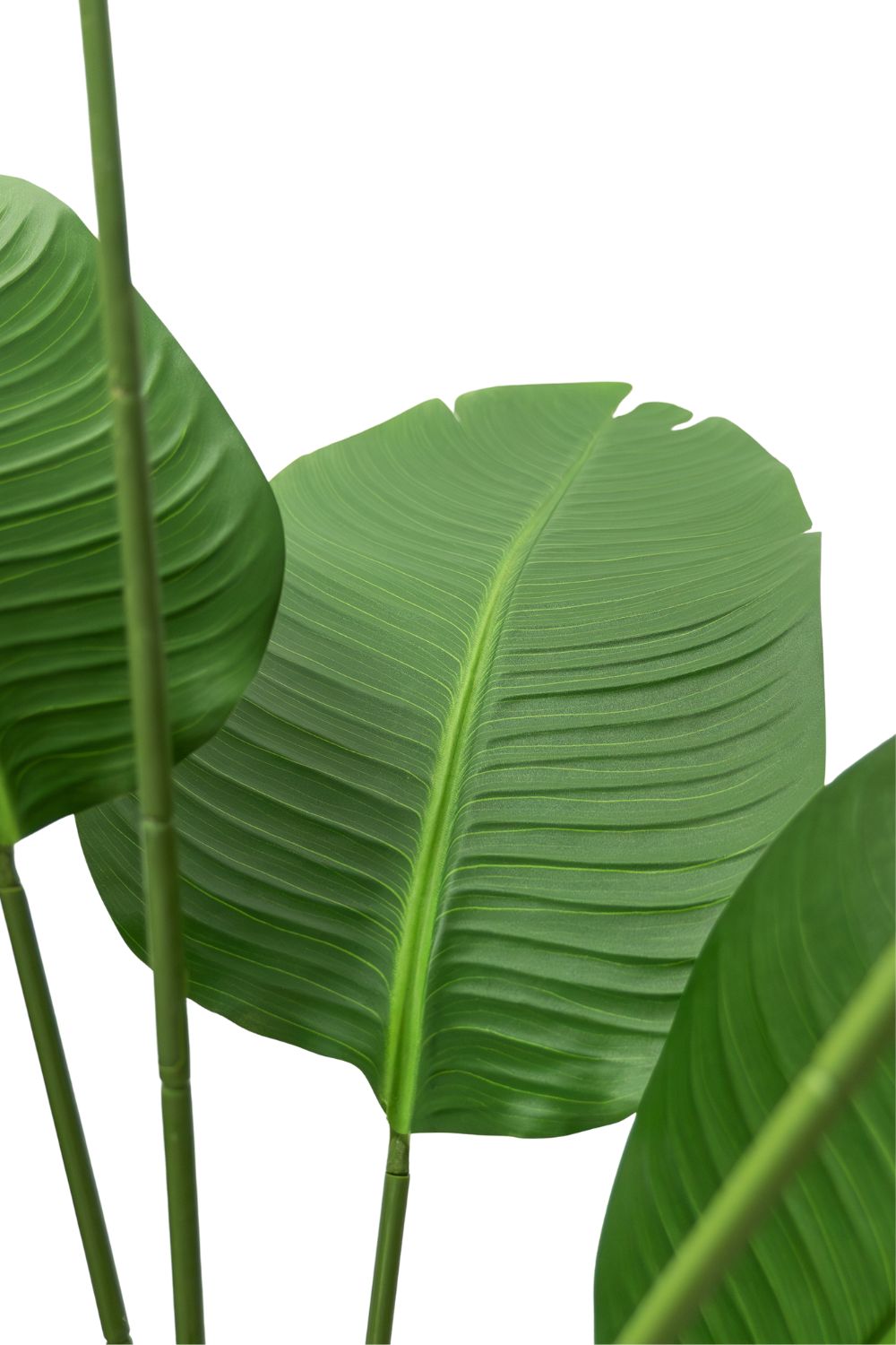 Strelitzia Kunstplant 180cm Budget