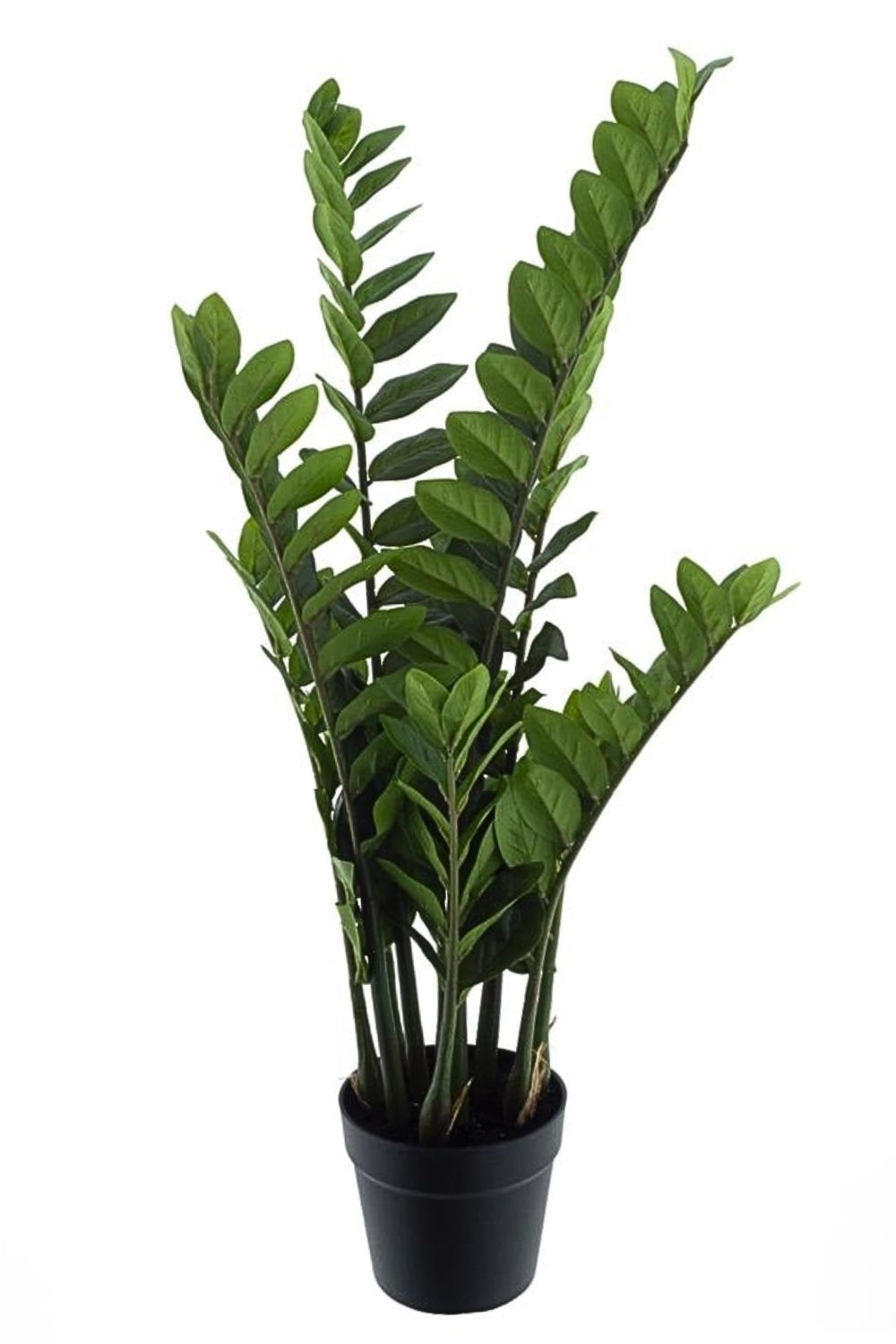 Zamioculcas Kunstplant 90cm