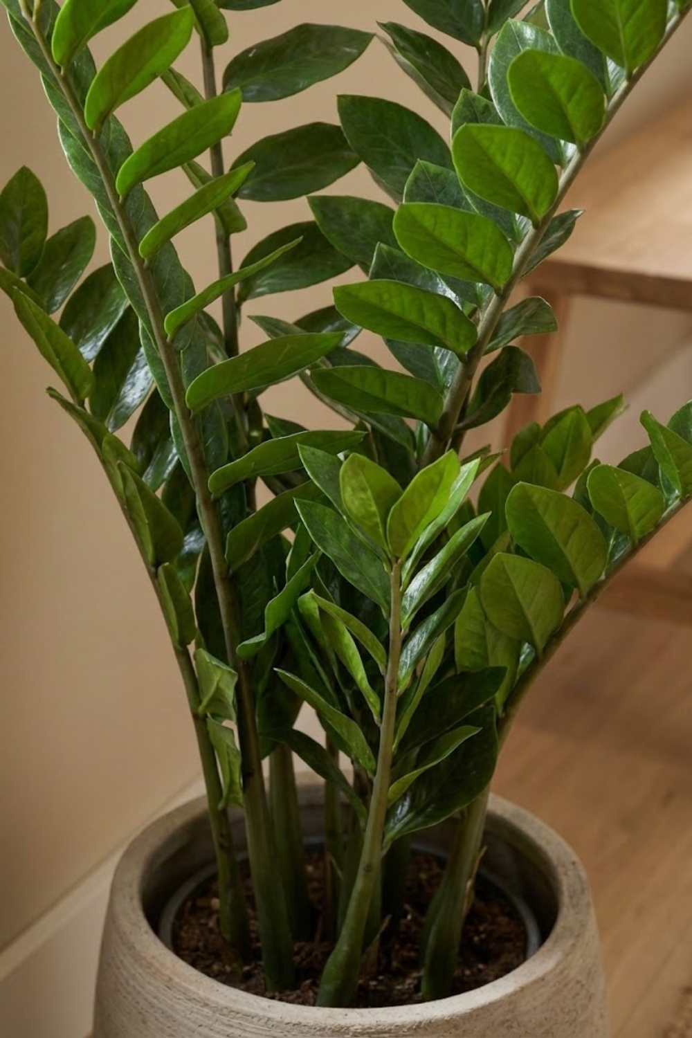Zamioculcas Kunstplant 90cm