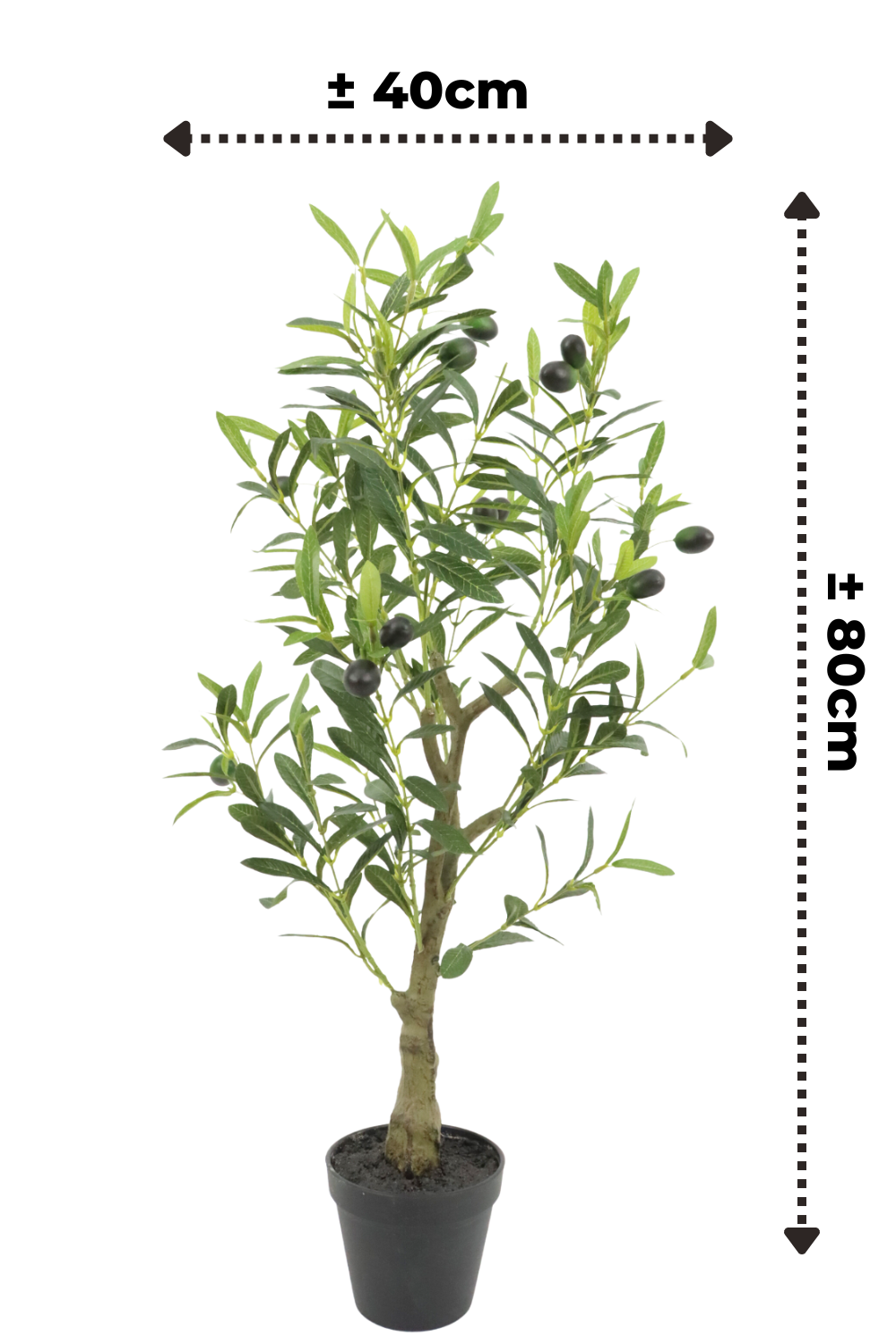 afmetingen kunst olijfboom 80cm