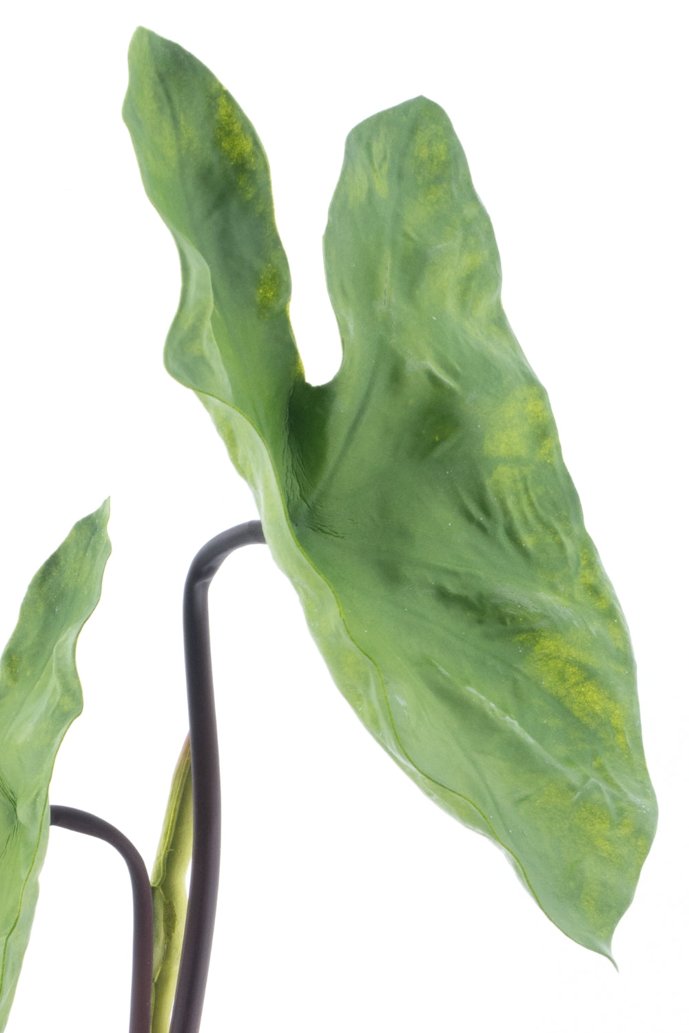 Alocasia Kunstplant 40cm UV