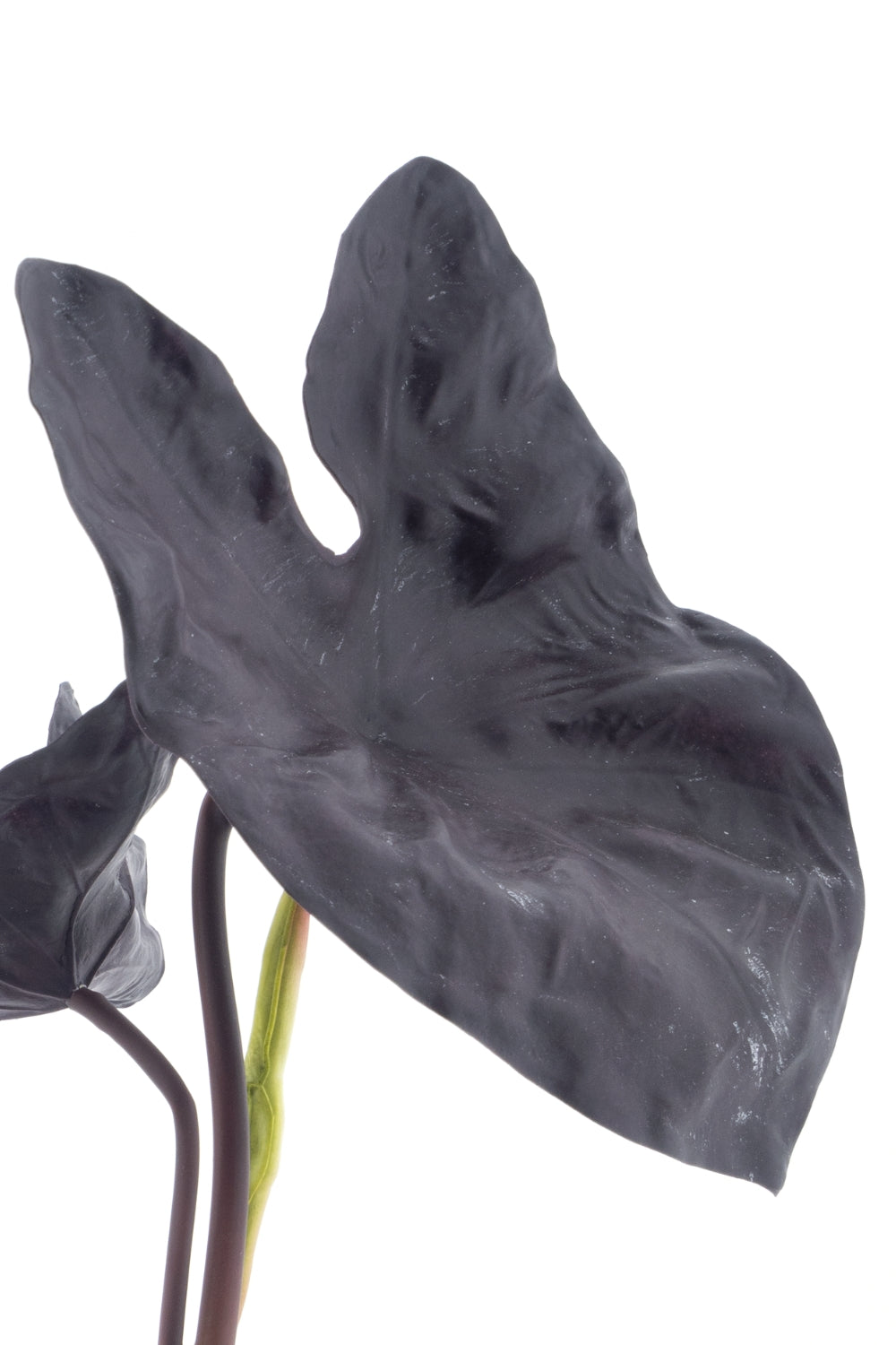 Alocasia Kunstplant 40cm Aubergine UV