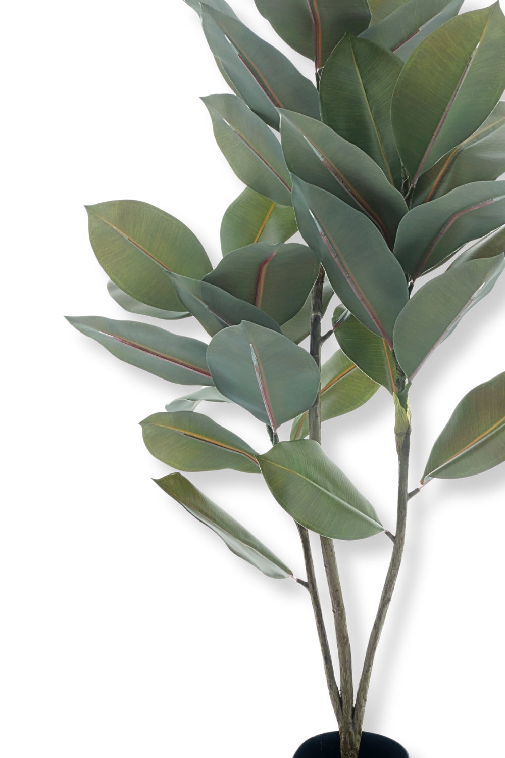 Ficus Elastica Kunstplant 105cm