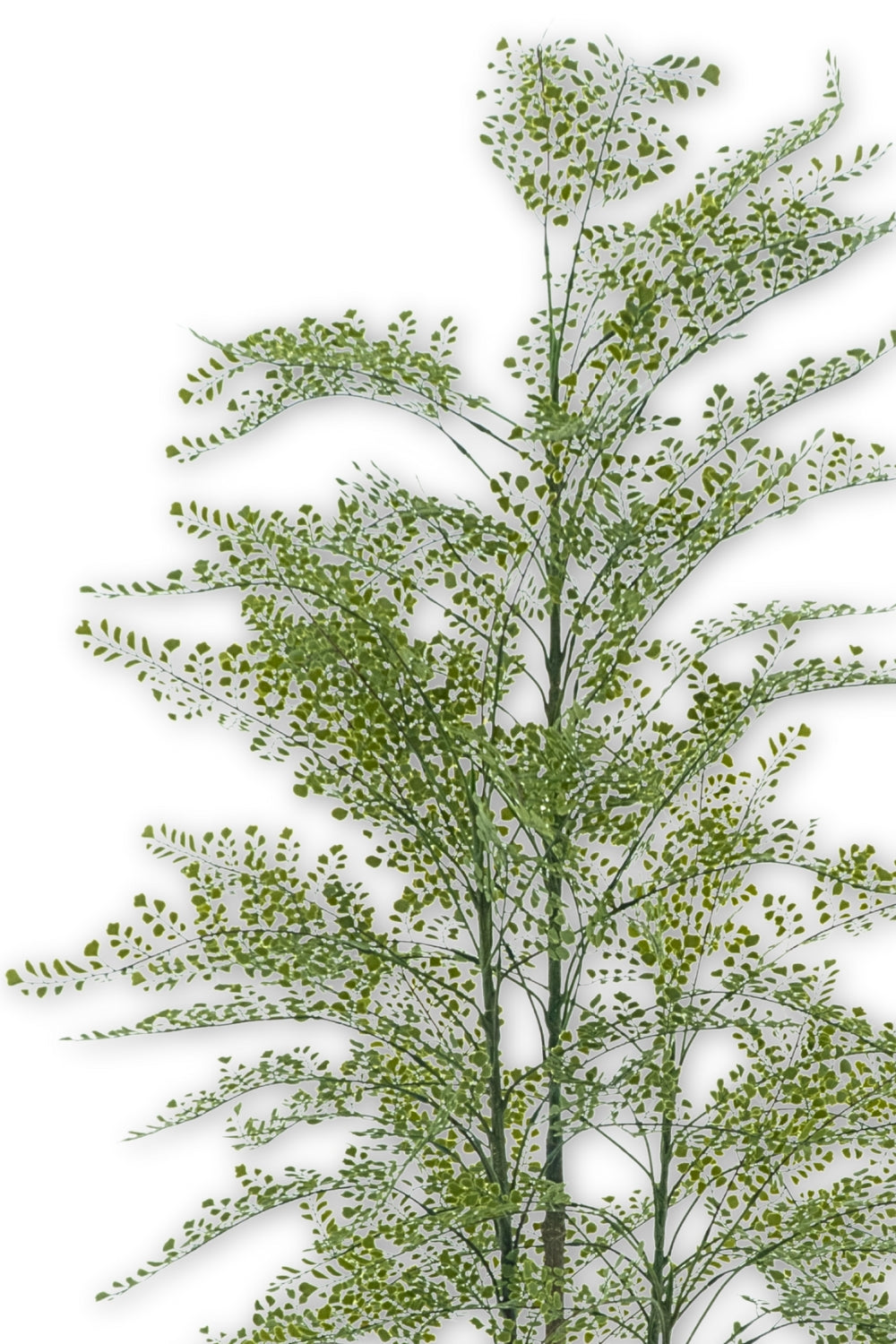 Maidenhair Varen Kunstplant 180cm