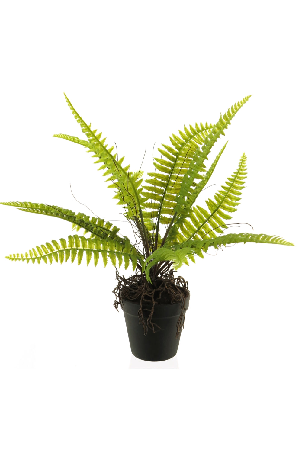 Boston Varen Kunstplant 40cm