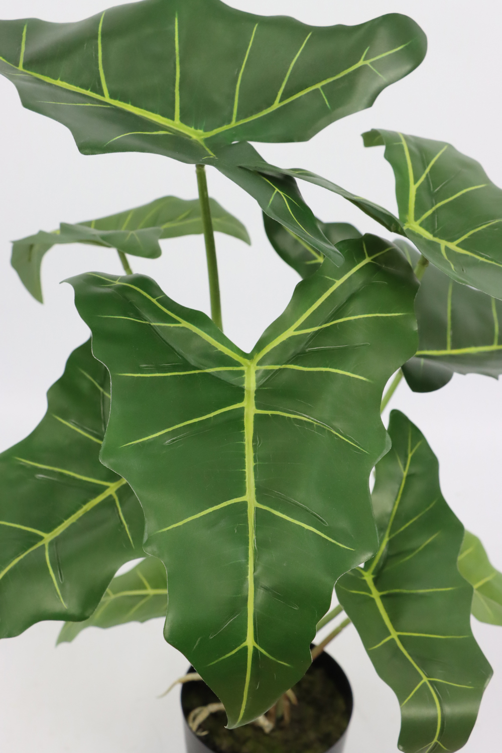 Bladeren Alocasia kunstplant 60cm