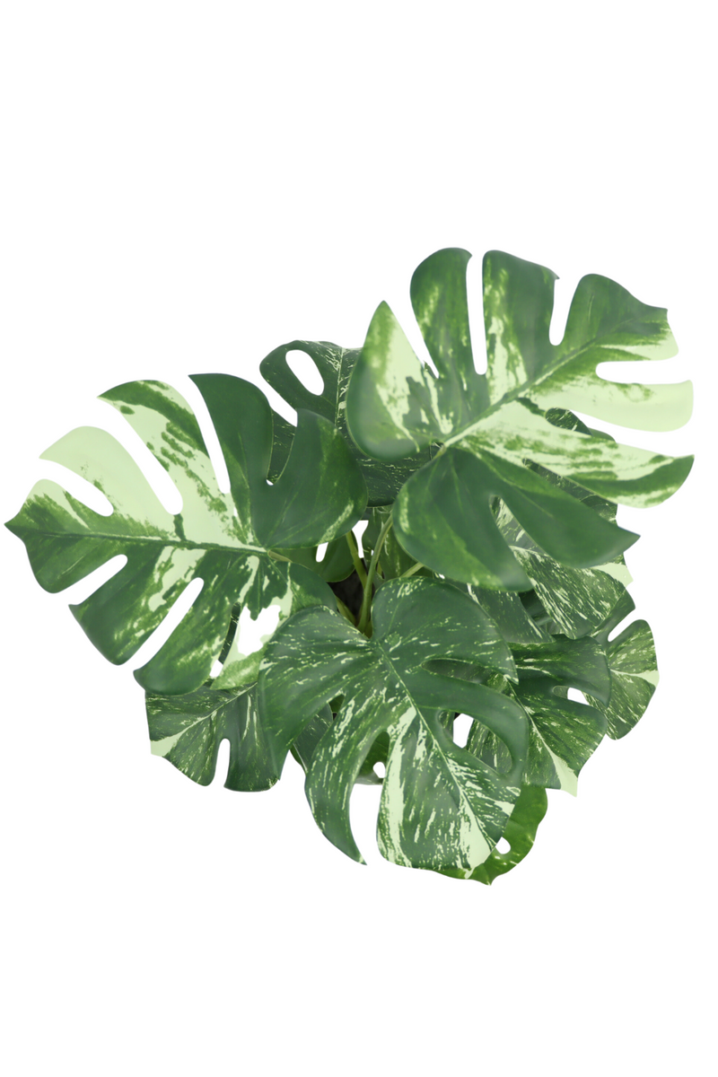 Bovenaanzicht Monstera Kunstplant 40cm