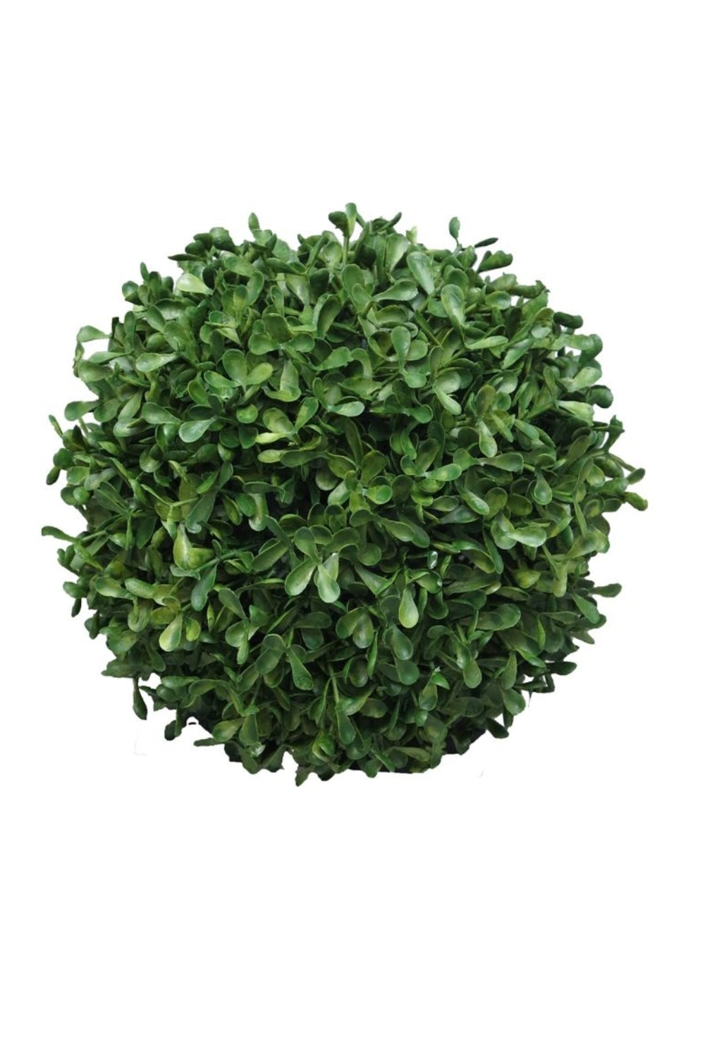 Kunst Buxus Bol 28cm UV