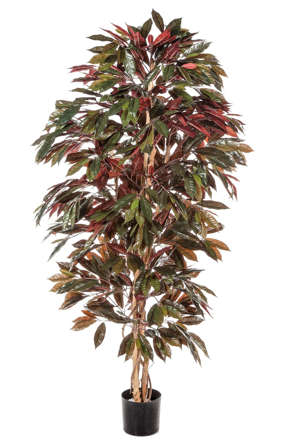 Capensia Kunstplant 180cm