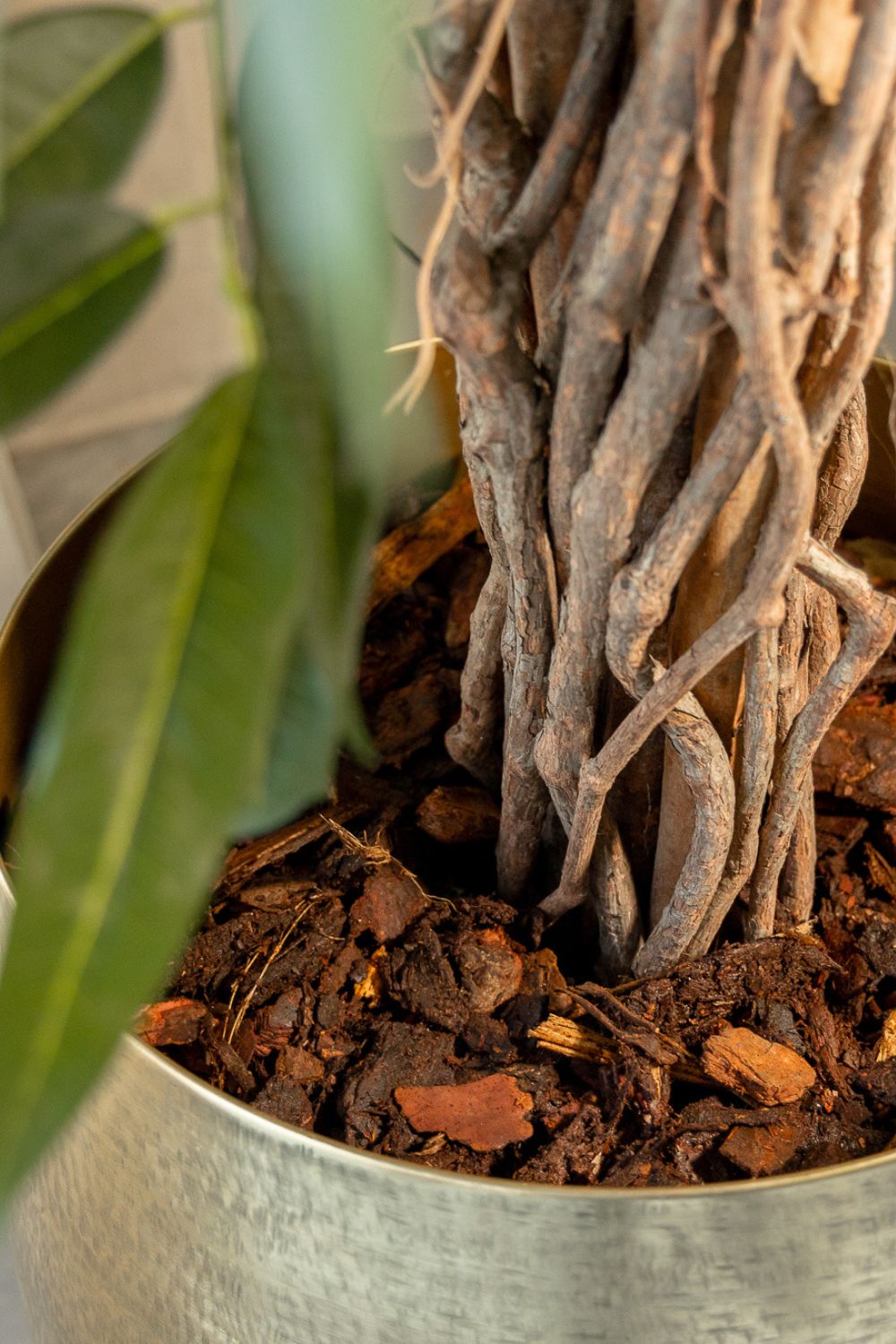 Longifolia Kunstplant 180cm
