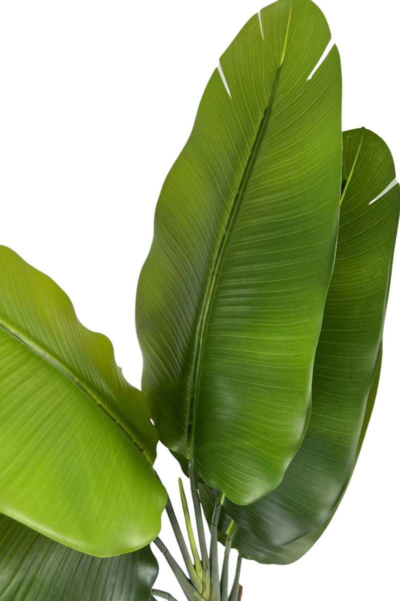 details blad strelitzia kunstplant 140cm
