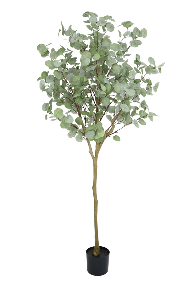 Eucalyptus Kunstboom op stam 170cm | Maxifleur kunstplanten Eucalyptus Kunstboom op stam 170cm | Maxifleur kunstplanten
