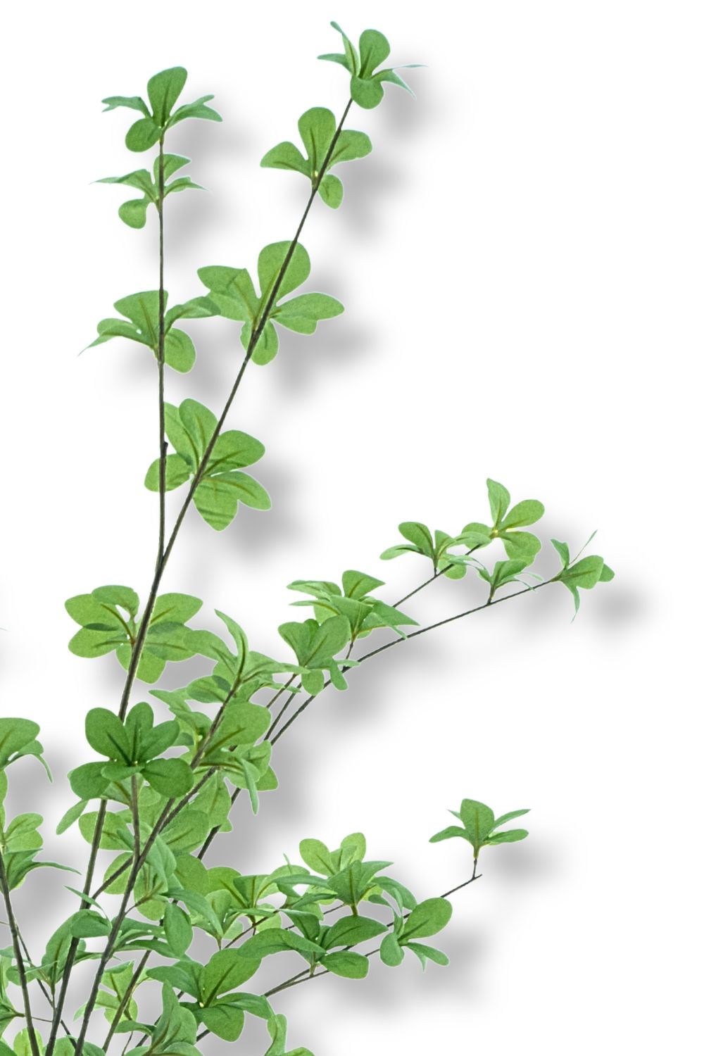 Fatshedera Kunstplant 80cm