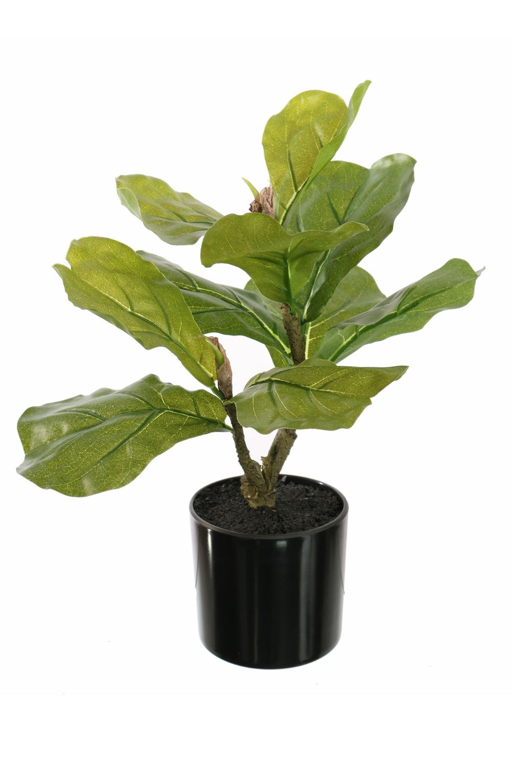 Ficus Kunstplant 30cm