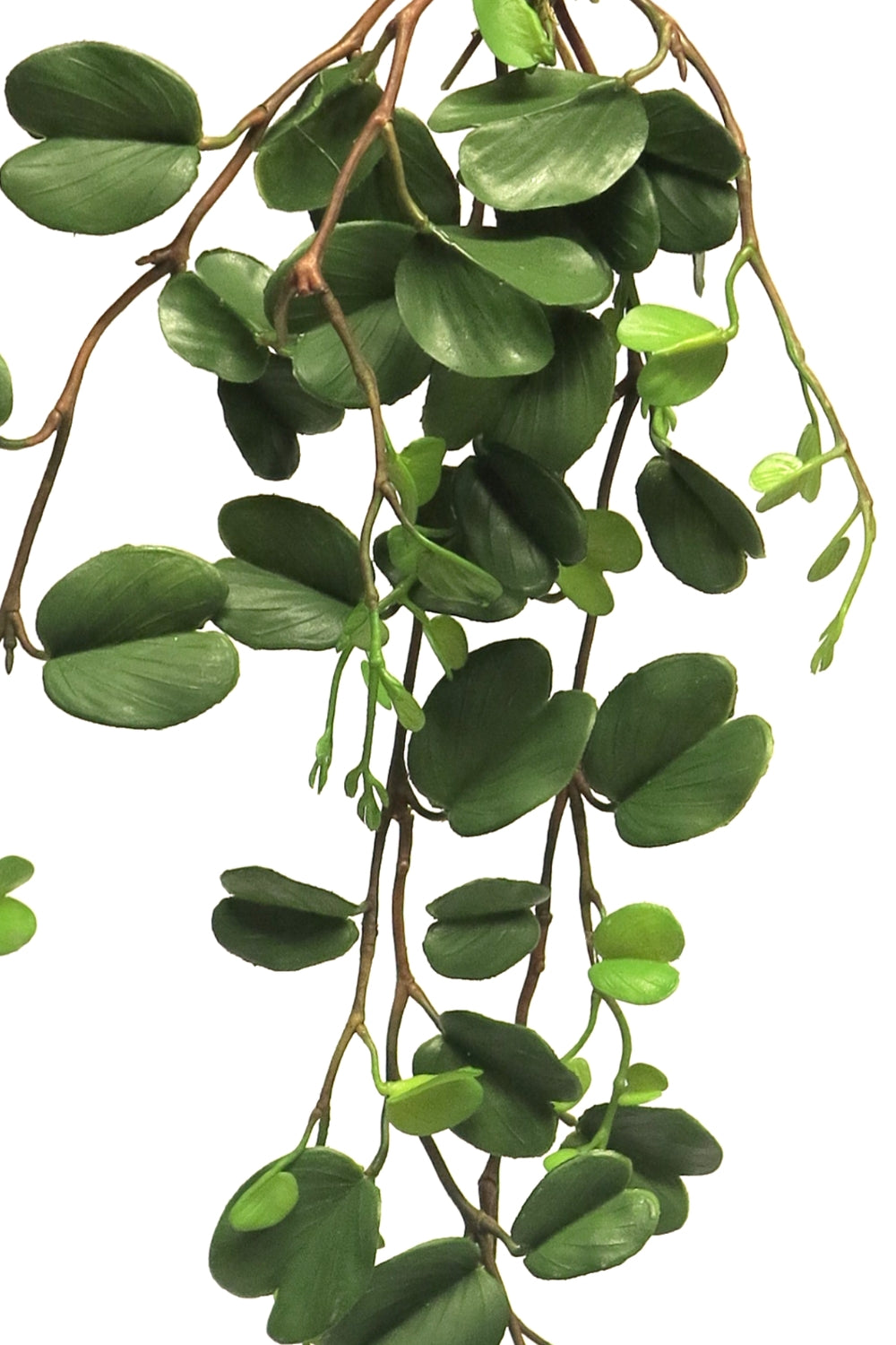 Kunsthanger Double Leaf 99cm