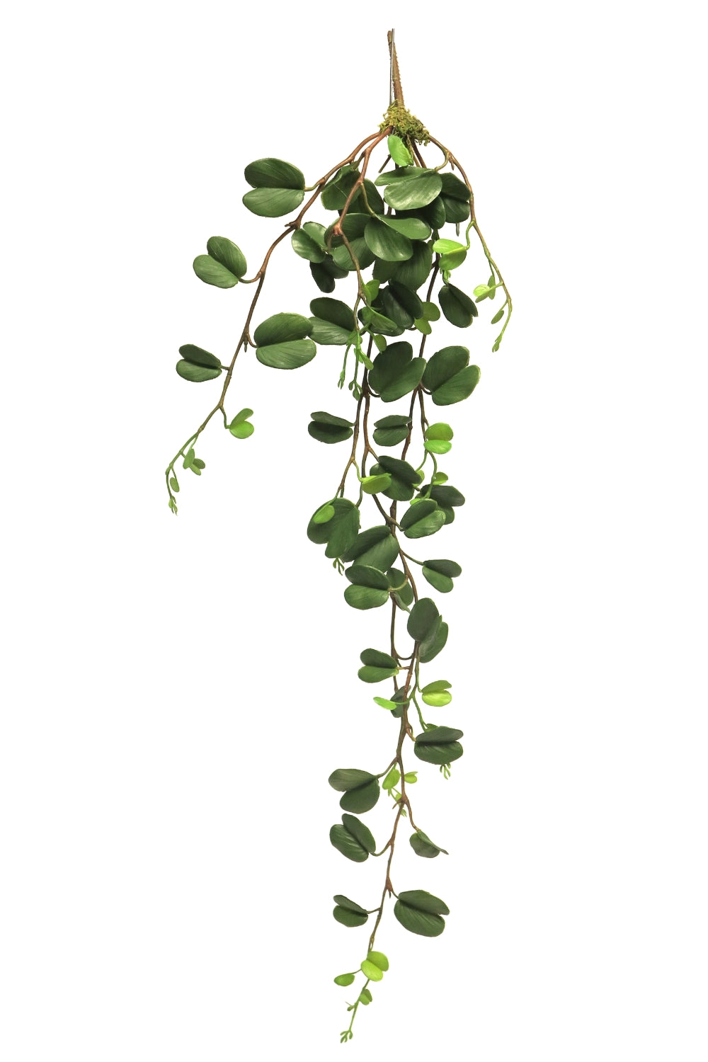 Kunsthanger Double Leaf 99cm
