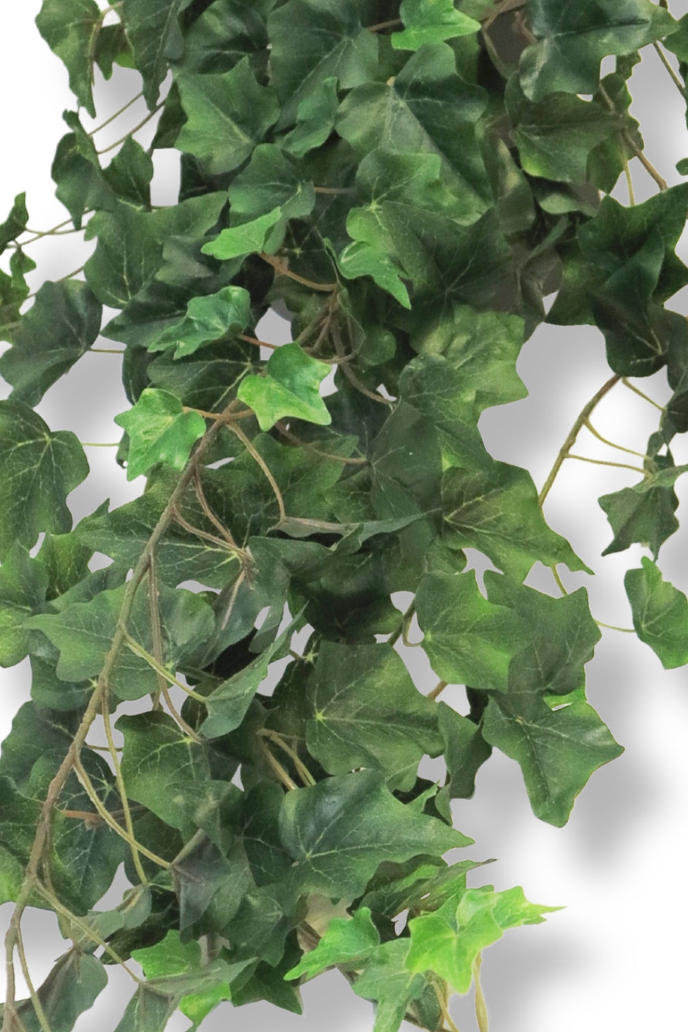 Hedera Hanger 100cm