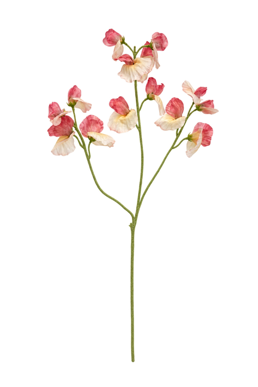 Lathyrus Kunstbloem 66cm Roze
