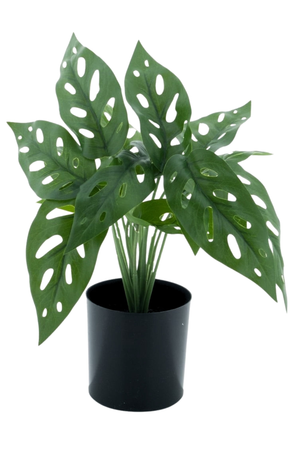 Monstera Kunstplant 30cm
