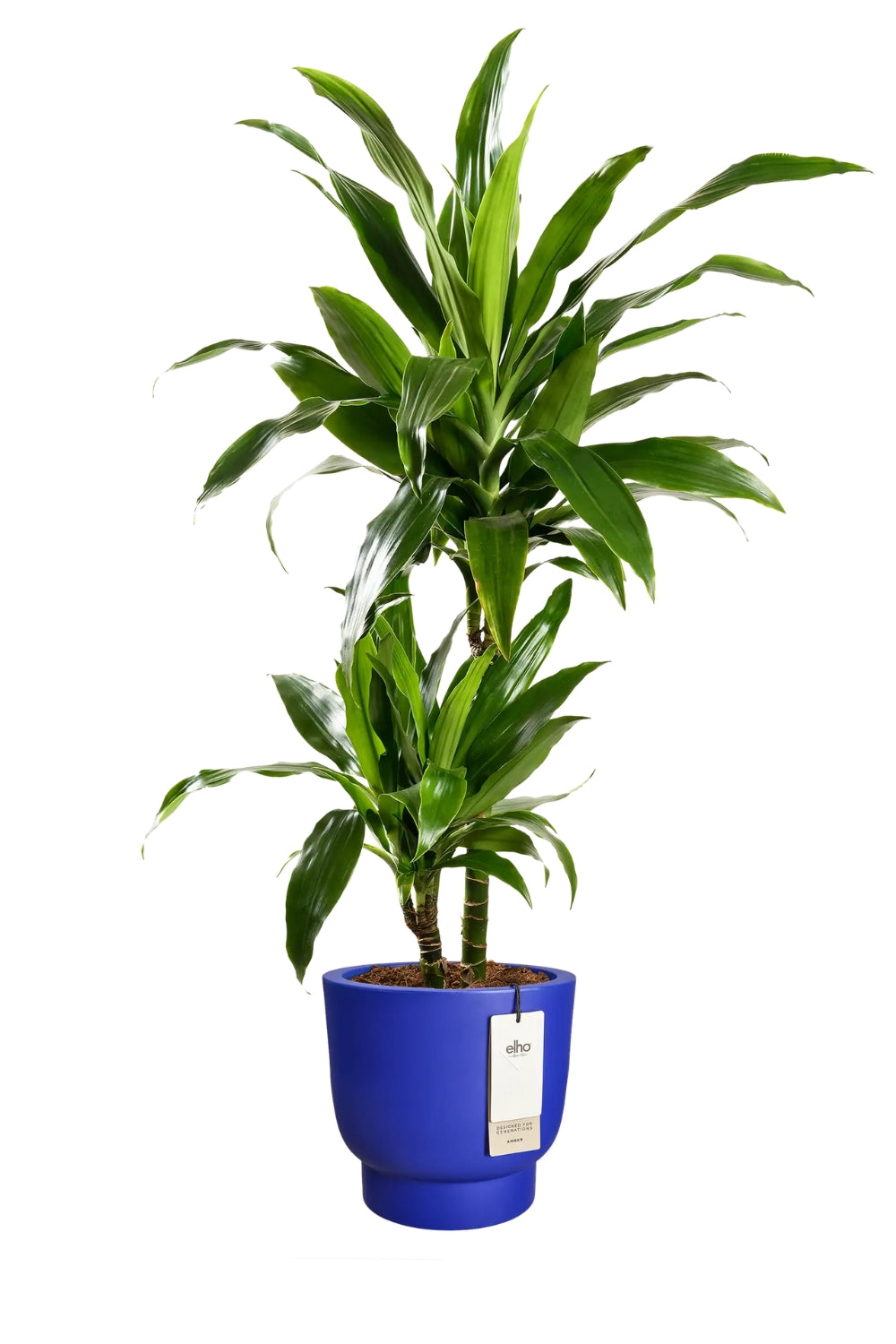 Bloempot Elho Amber grail 30cm Royal Blue