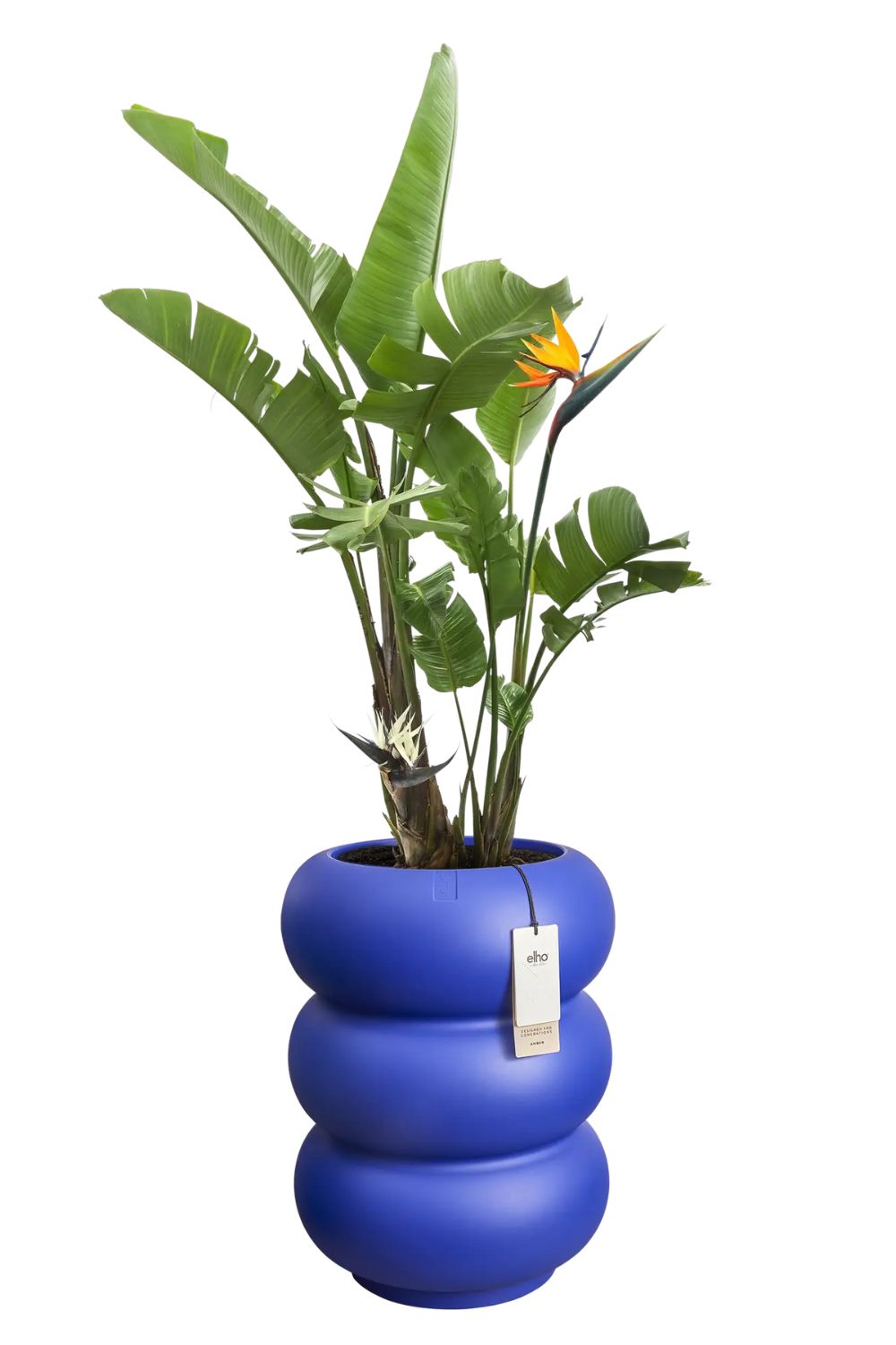 Bloempot Elho Amber roll high 58cm Royal Blue