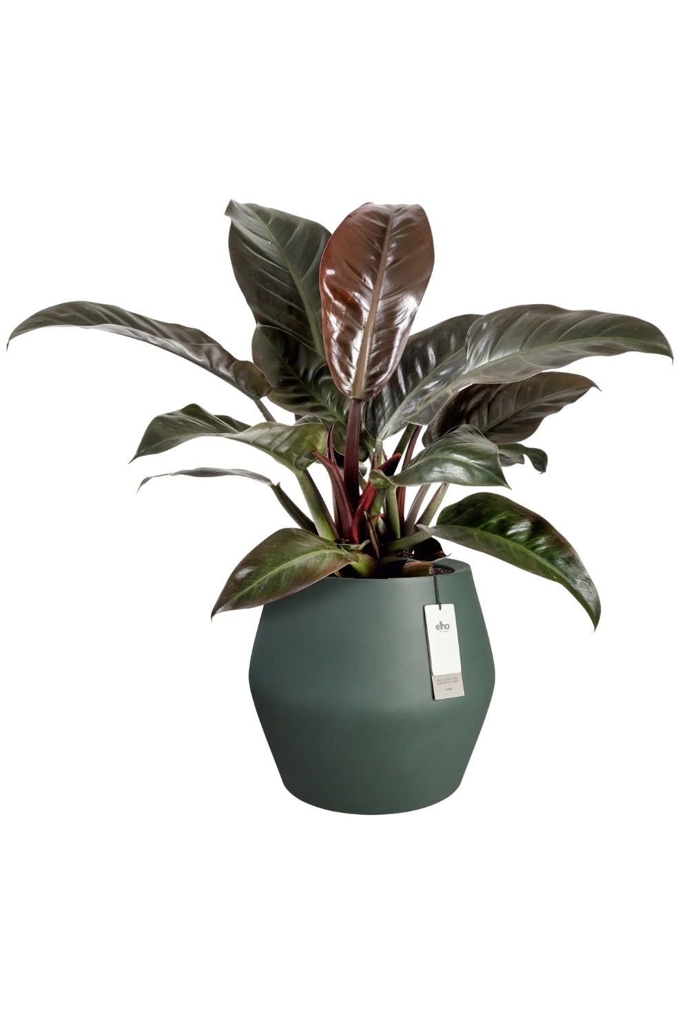 Bloempot Elho June split low 42cm smaragd groen
