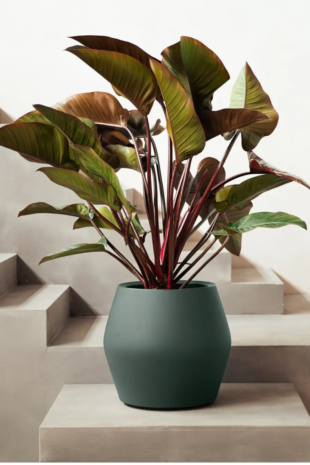 Bloempot Elho June split low 42cm smaragd groen