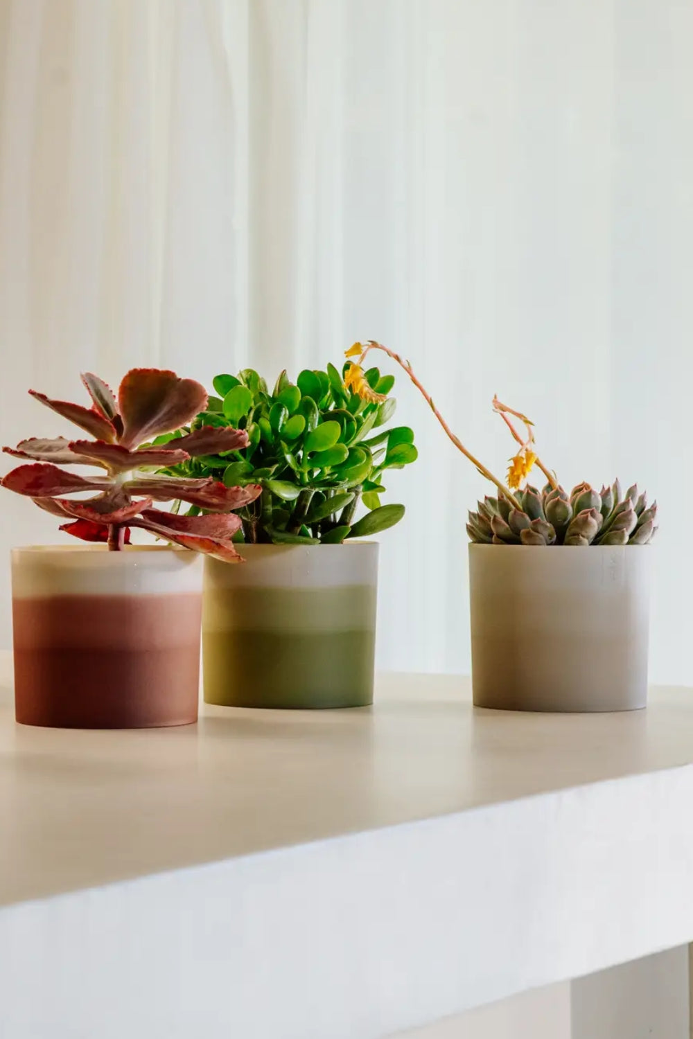 Bloempot Elho colour gradient rond 18cm zandsteen beige