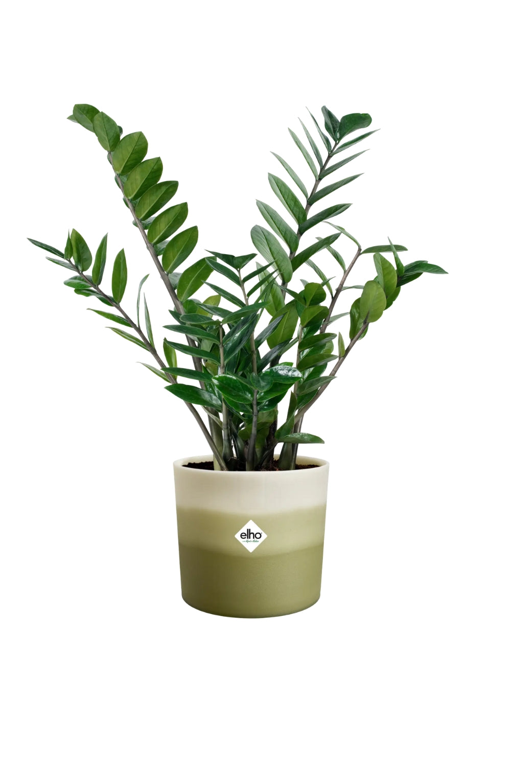 Bloempot Elho colour gradient rond 18cm bamboegroen