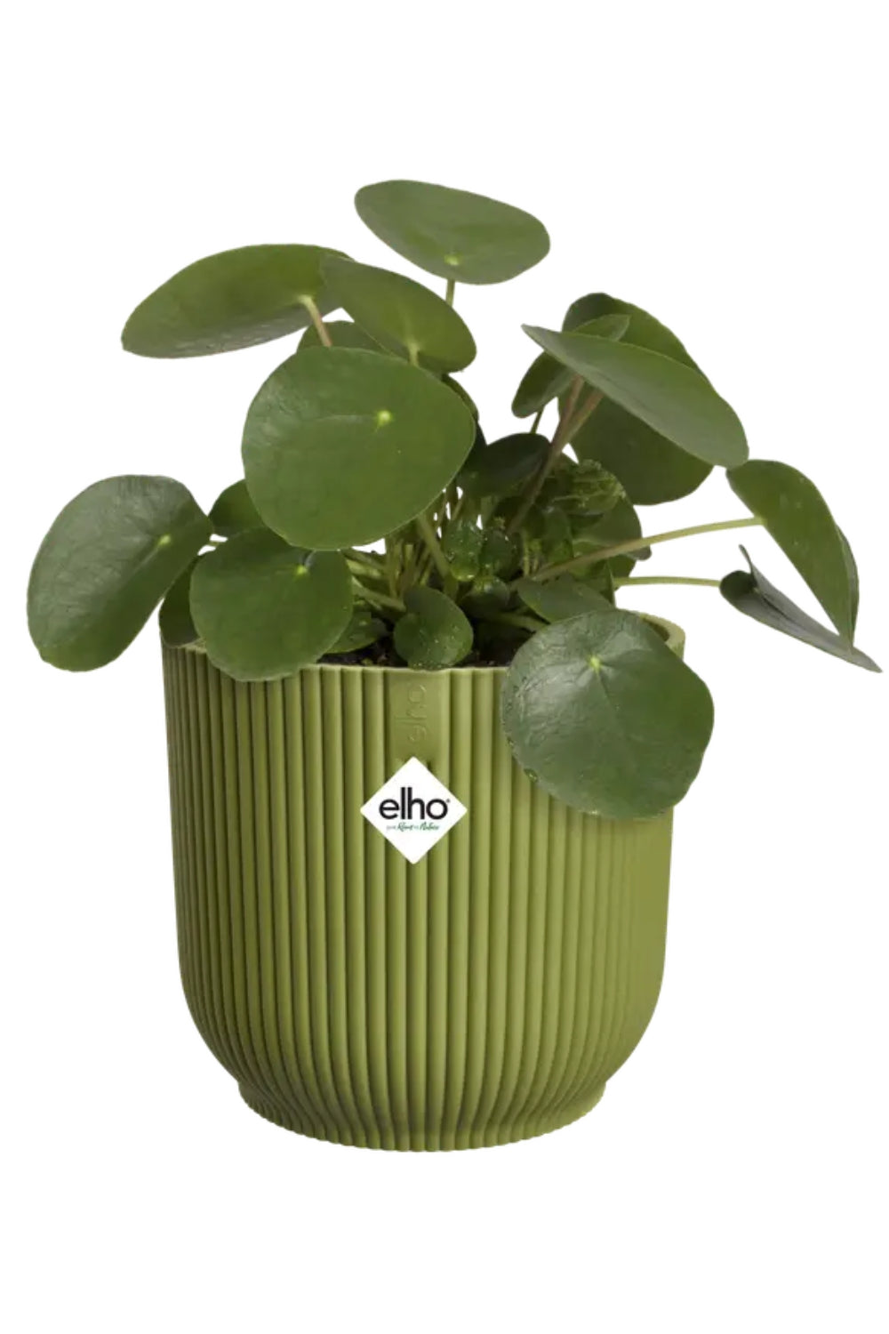Bloempot Elho Vibes Fold rond 16 cm varengroen