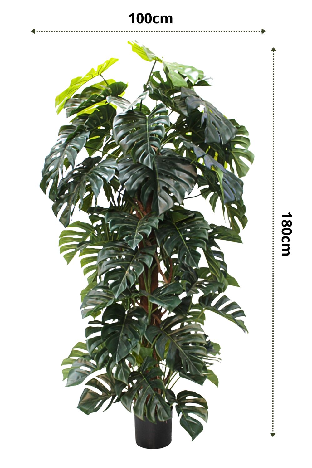 Pre-order Monstera Kunstplant 180cm (begin feb '26)