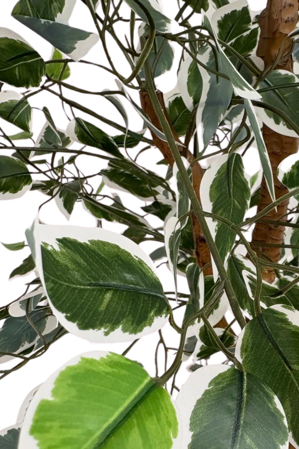 Ficus Kunstplant 200cm