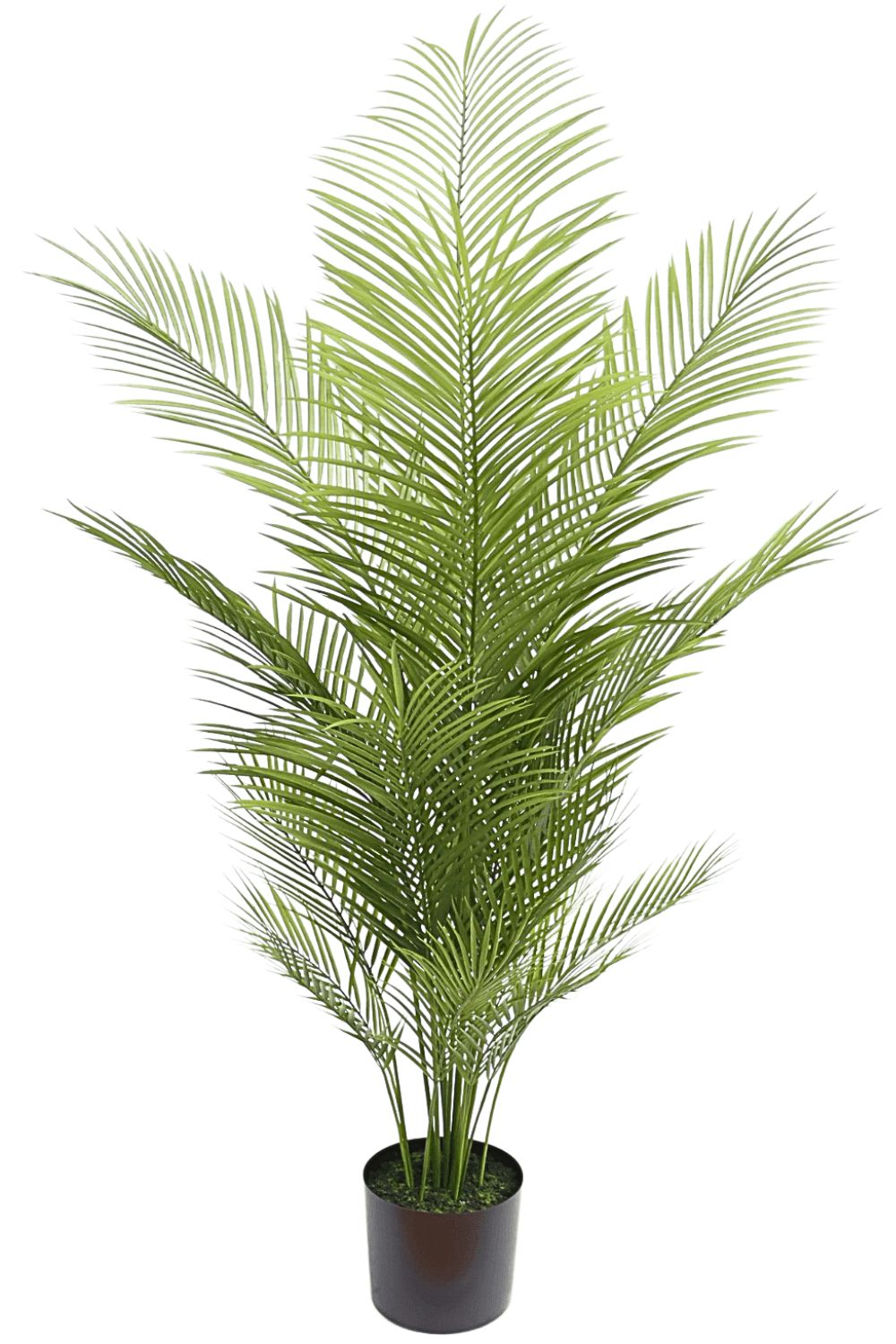 Kunstpalm 150cm