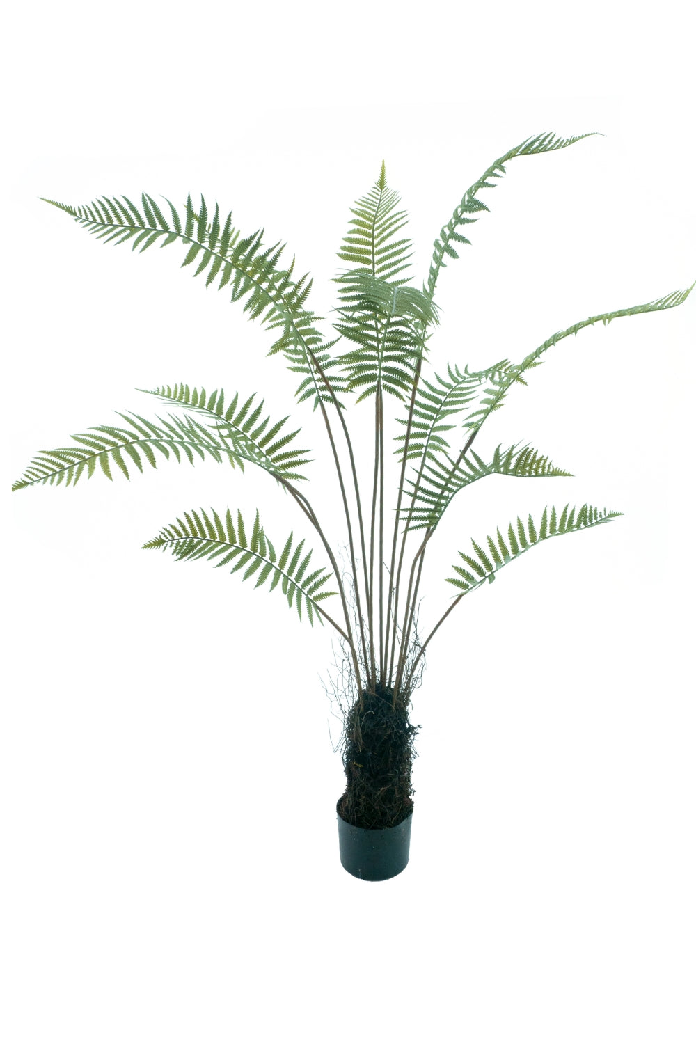 Kunst Palmvaren 150cm