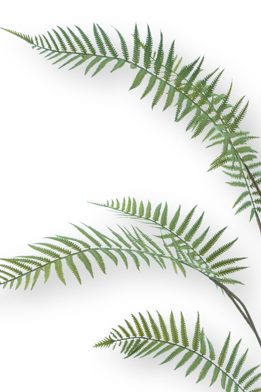 Kunst Palmvaren 150cm