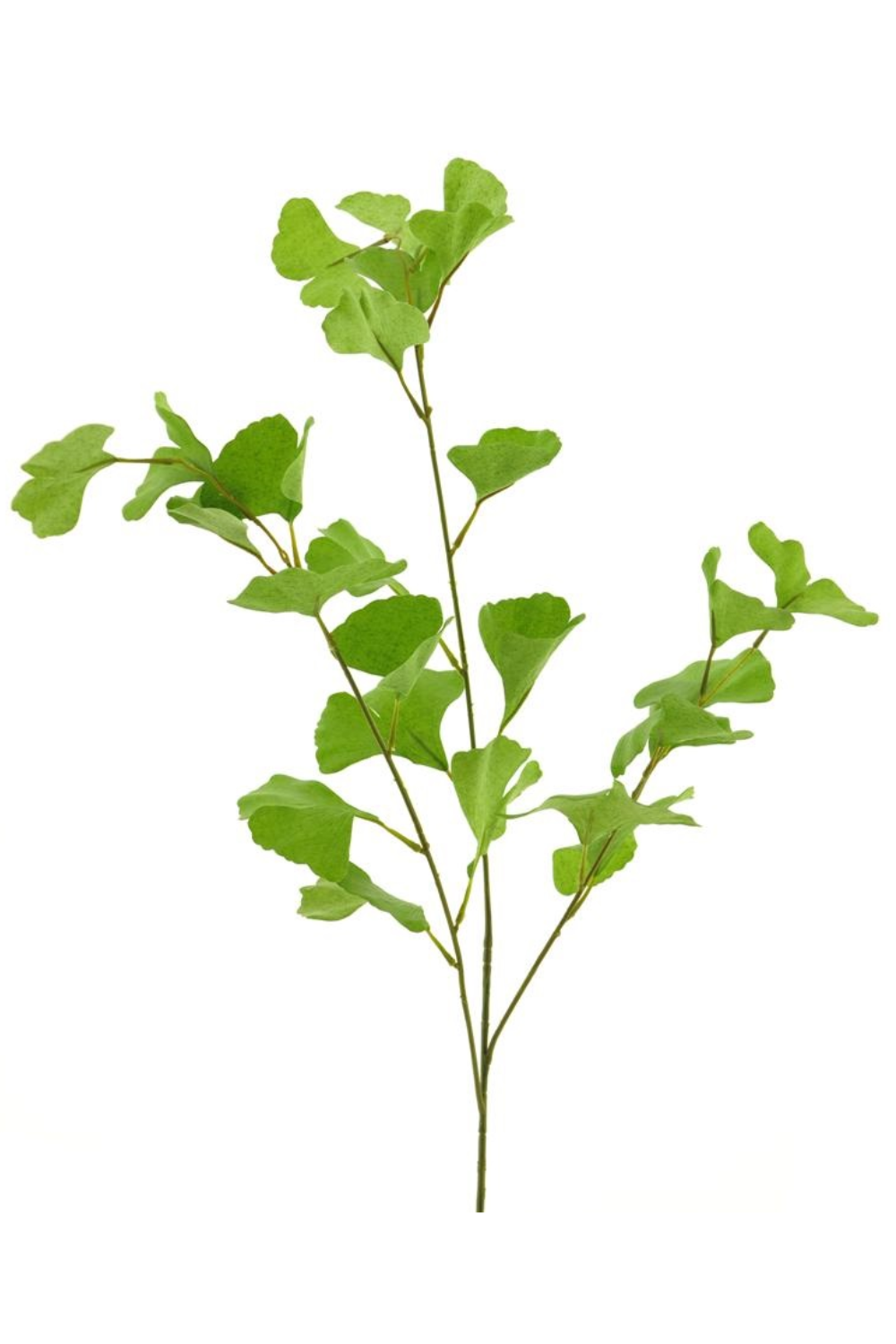 Gingko Kunsttak 90cm